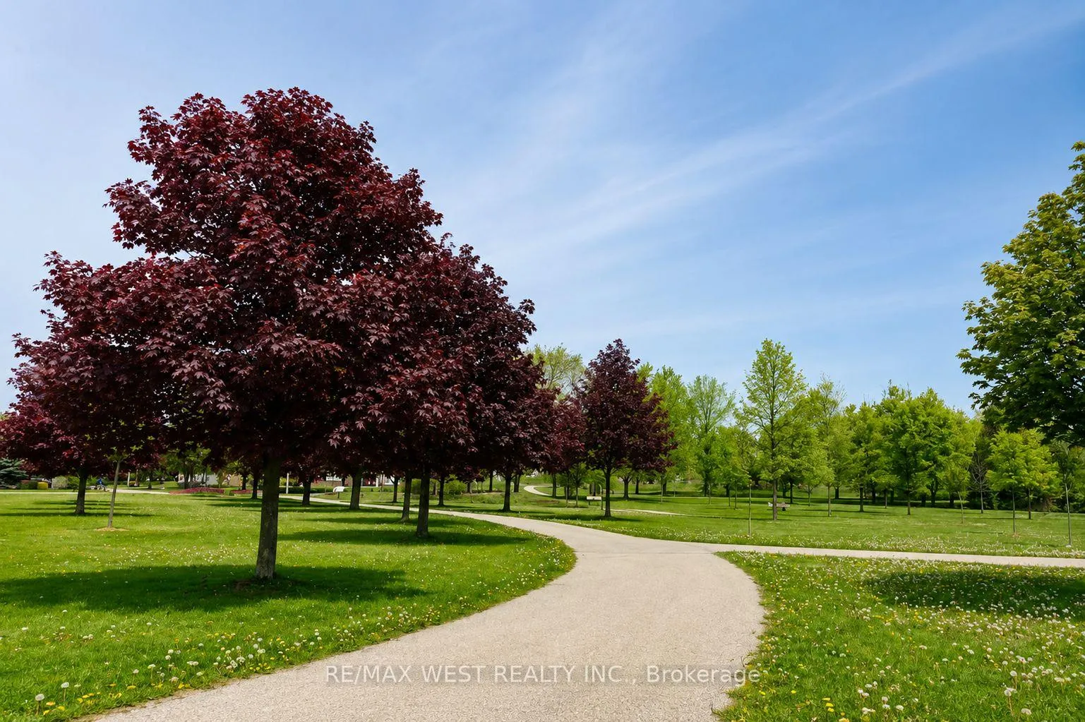 Photo 38 of 11 Pine Street, Ajax, Central — HOMEH