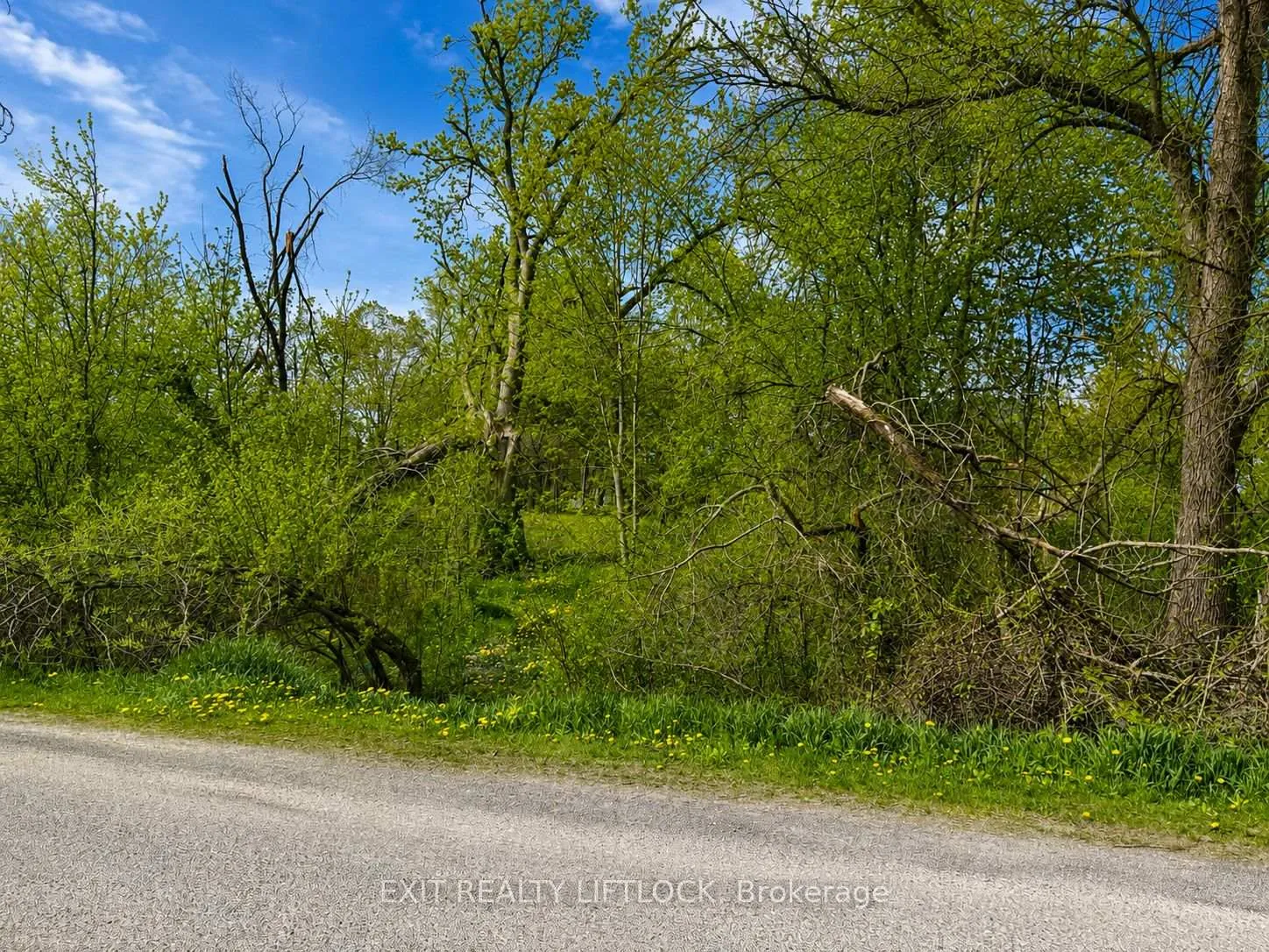 Photo of 0 Maple Ridge Drive