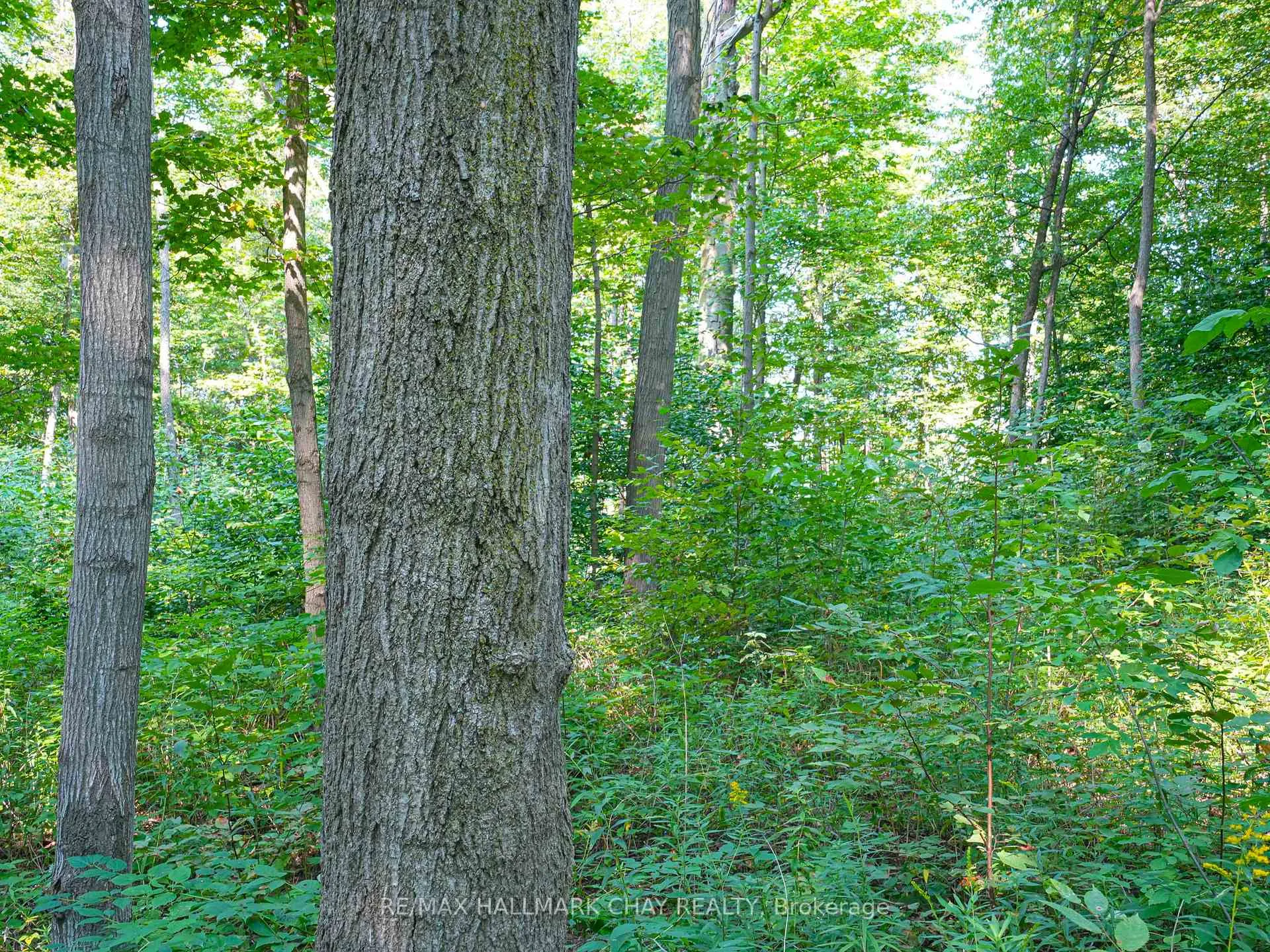Photo 14 of 837251 4th Line, Mulmur, Rural Mulmur — HOMEH