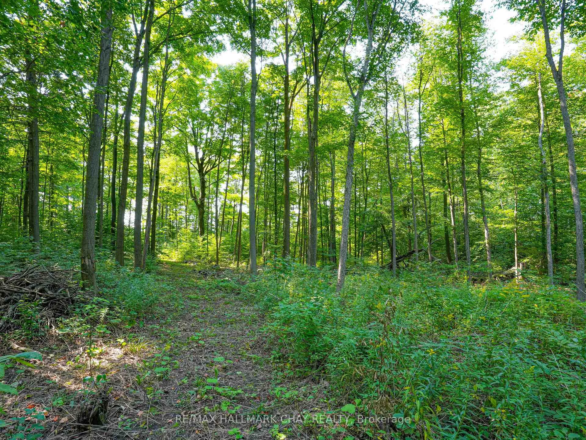 Photo 15 of 837251 4th Line, Mulmur, Rural Mulmur — HOMEH