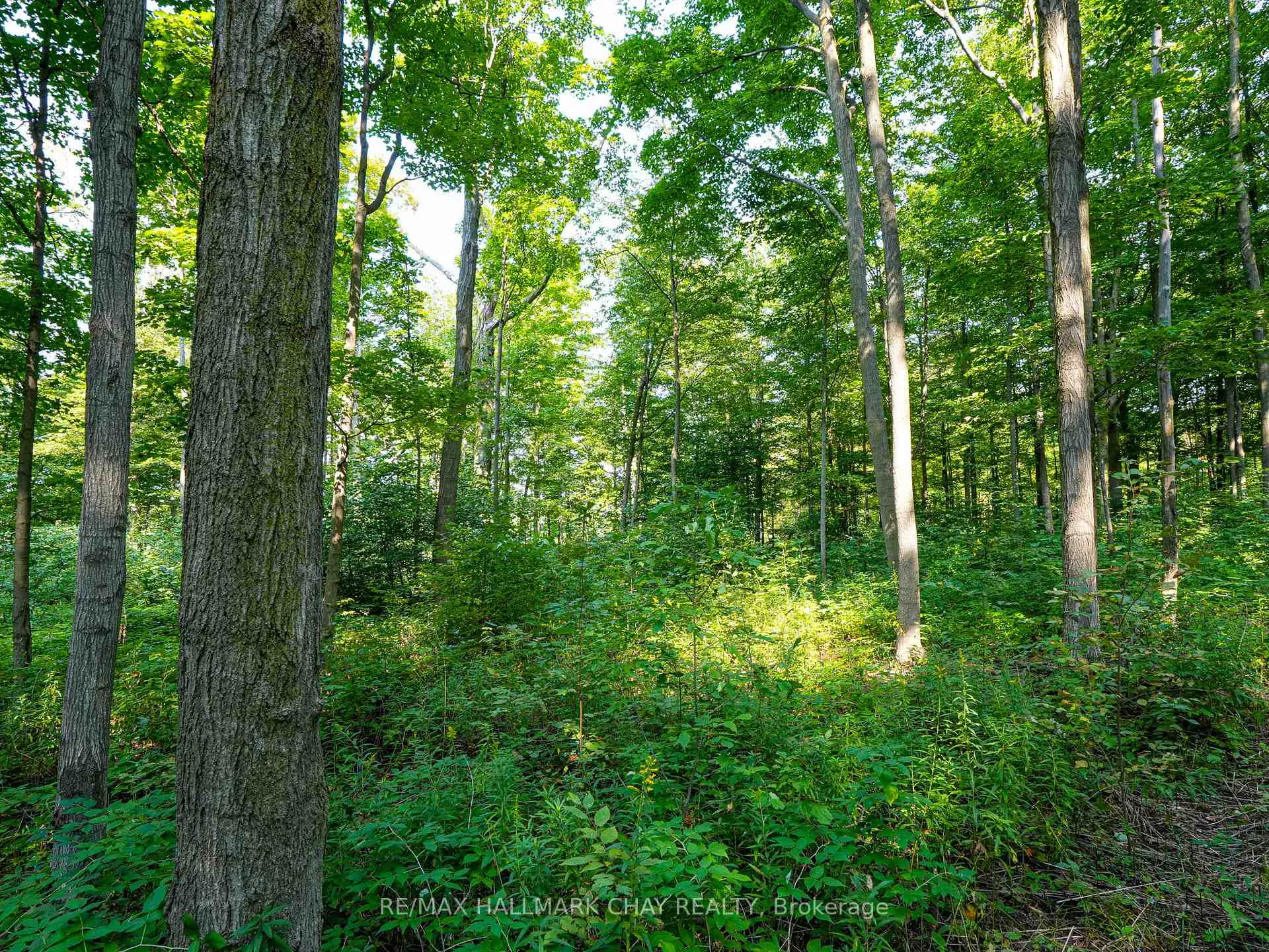 Photo 16 of 837251 4th Line, Mulmur, Rural Mulmur — HOMEH