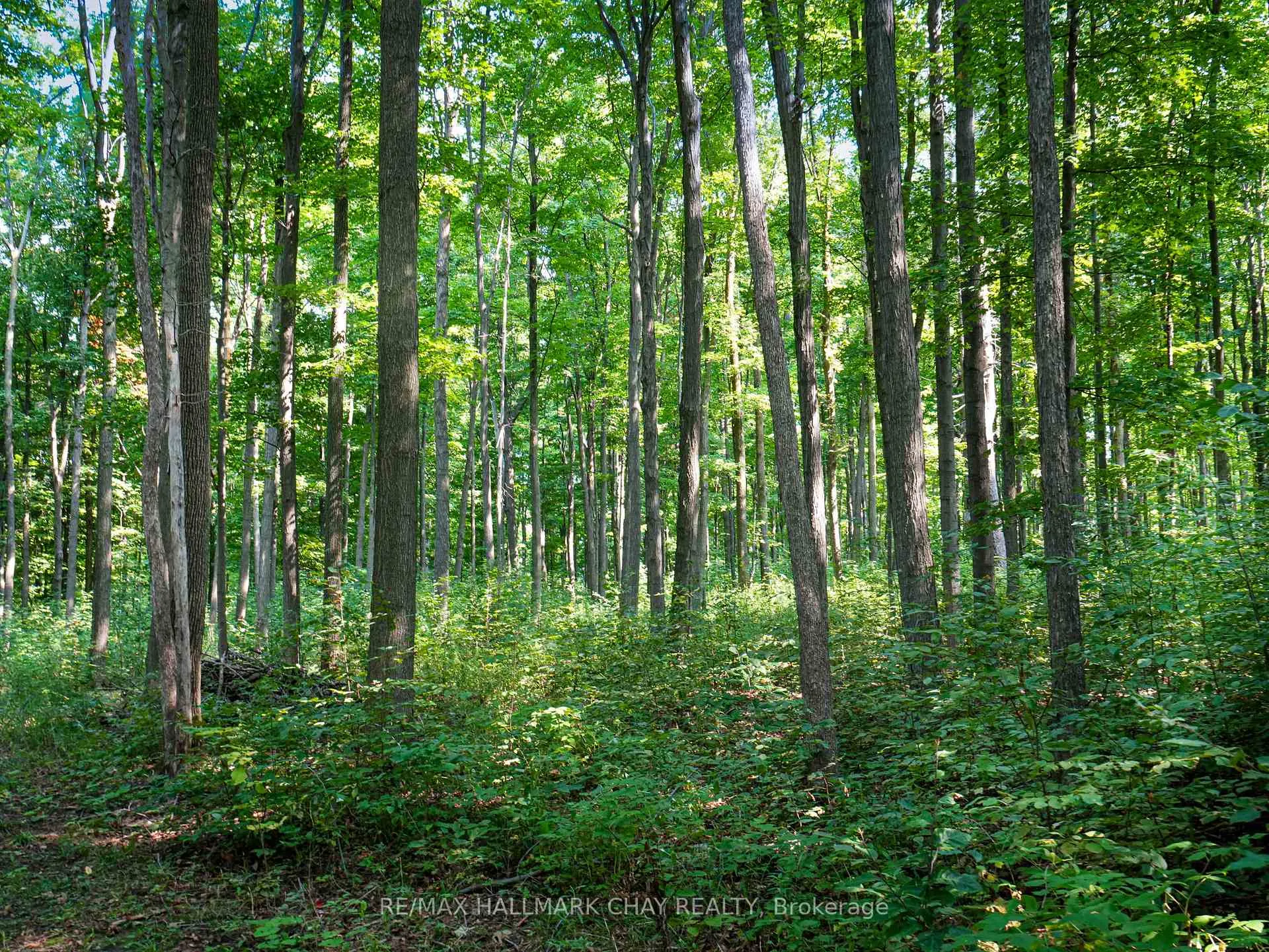 Photo 17 of 837251 4th Line, Mulmur, Rural Mulmur — HOMEH