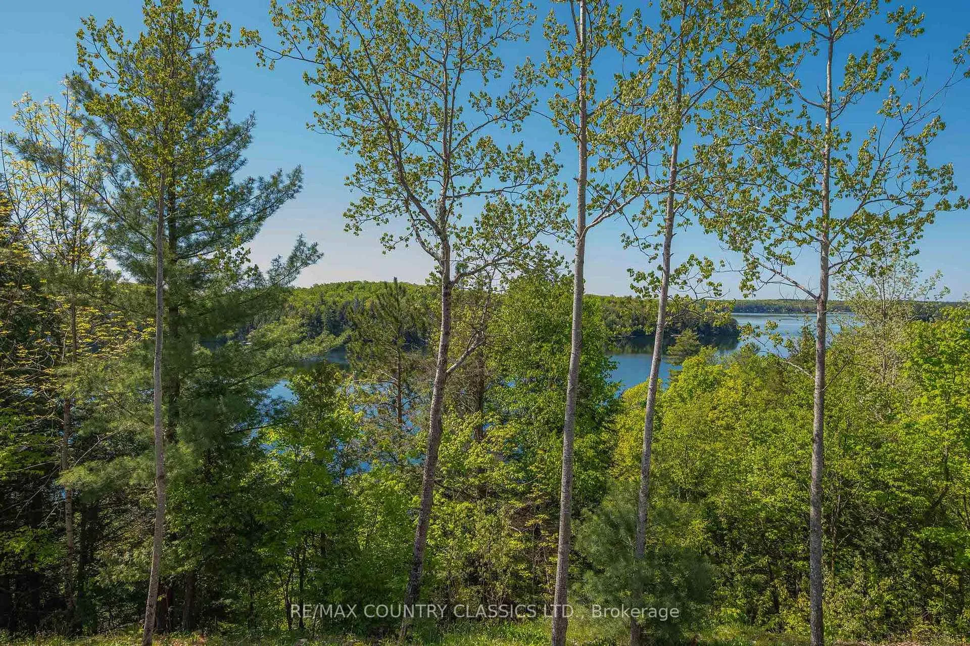 Photo 8 of 400 Antelope Trail, North Kawartha — HOMEH