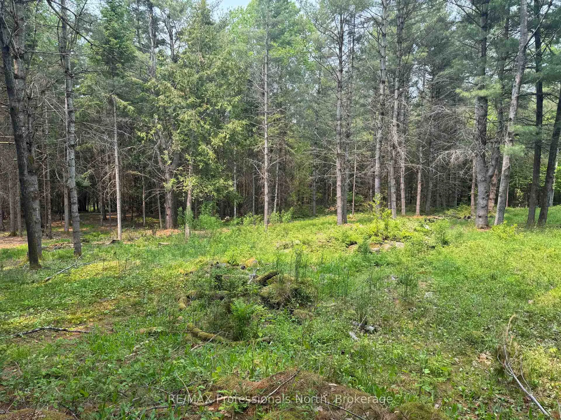 Photo 11 of 1897 Blairhampton Road, Minden Hills, Minden — HOMEH