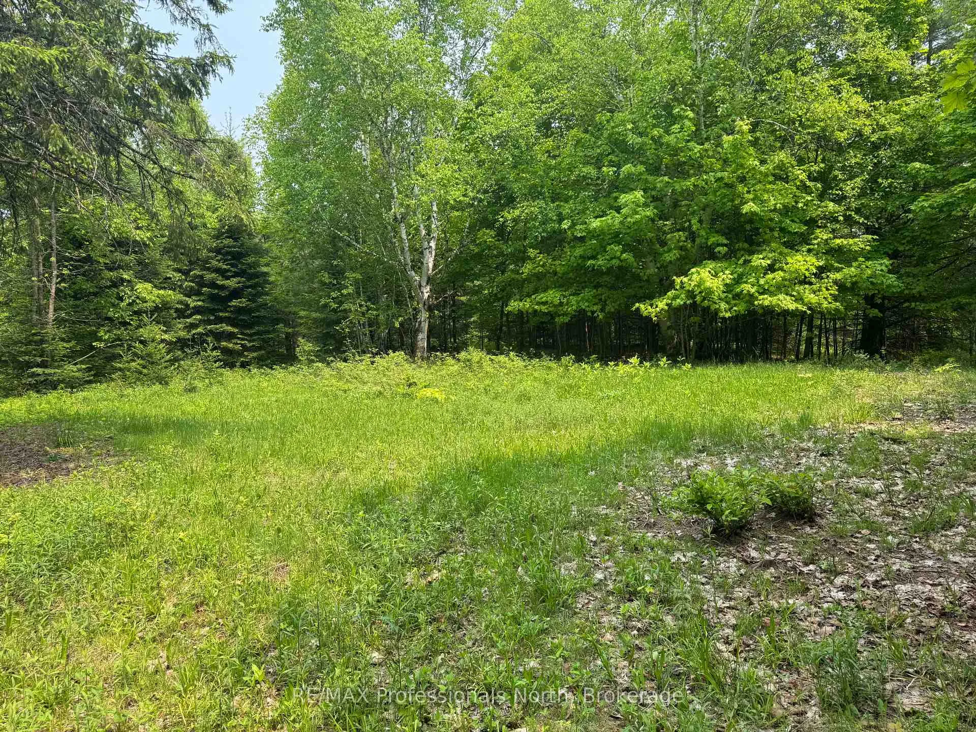 Photo 13 of 1897 Blairhampton Road, Minden Hills, Minden — HOMEH