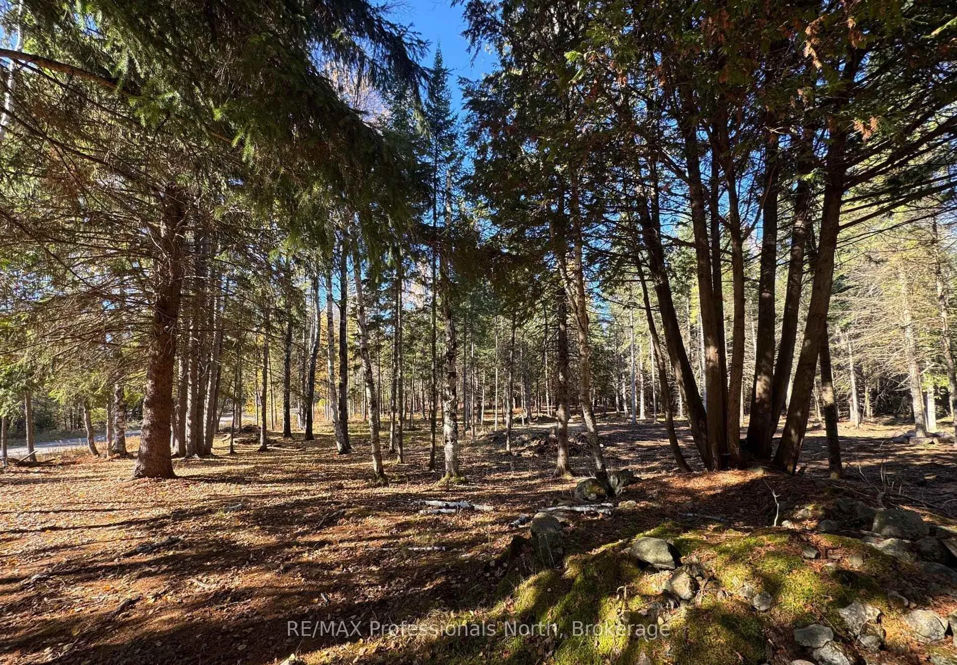 Photo 31 of 1897 Blairhampton Road, Minden Hills, Minden — HOMEH