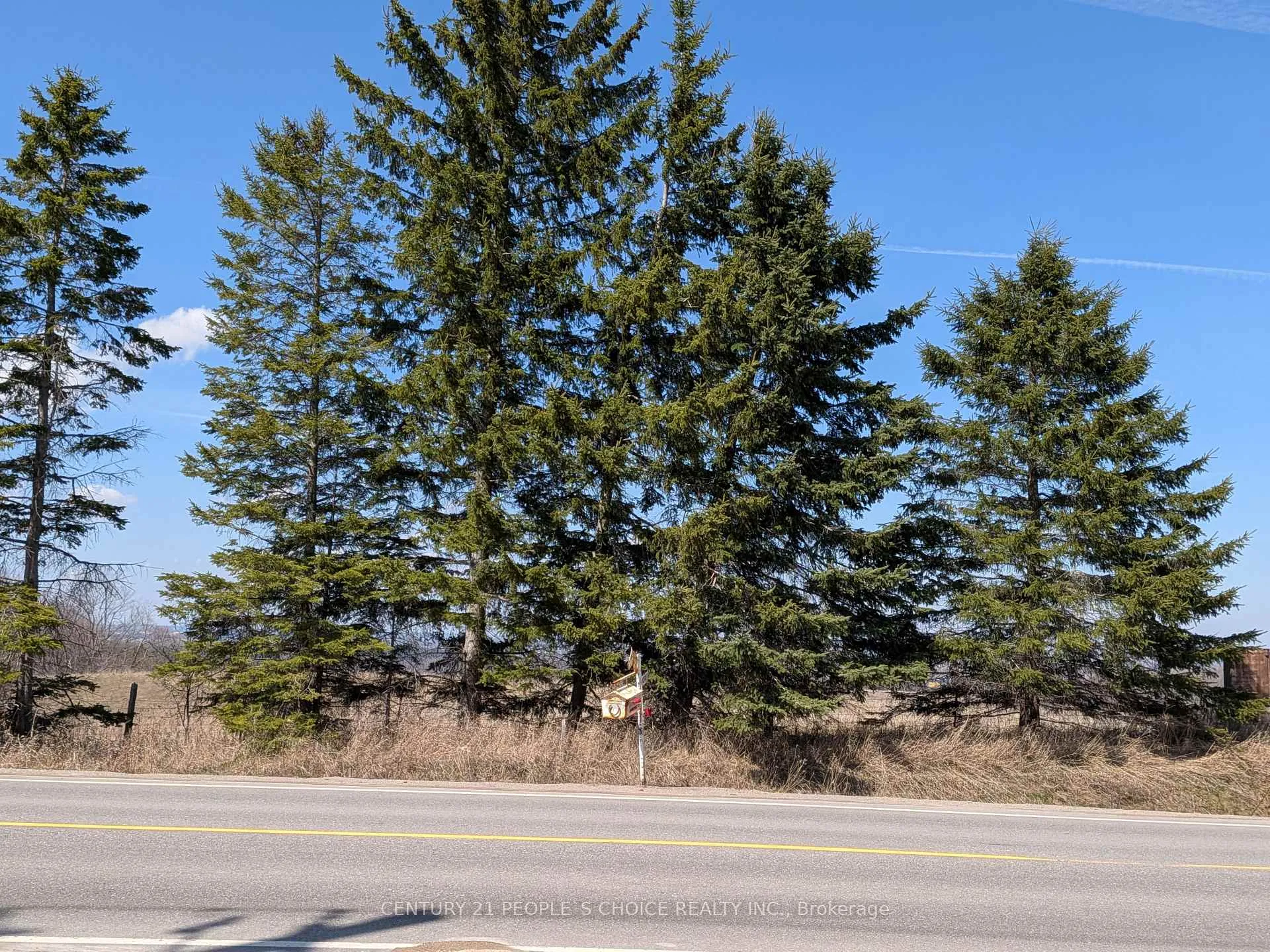 Photo 37 of 6037 7th Line, New Tecumseth, Tottenham — HOMEH