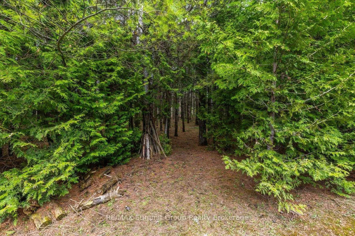 Photo 9 of PT LT 70 West Back Line, Chatsworth — HOMEH