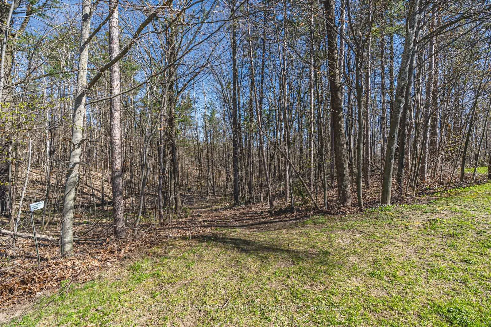 Photo 29 of 6 Collins Lane, Springwater, Snow Valley — HOMEH