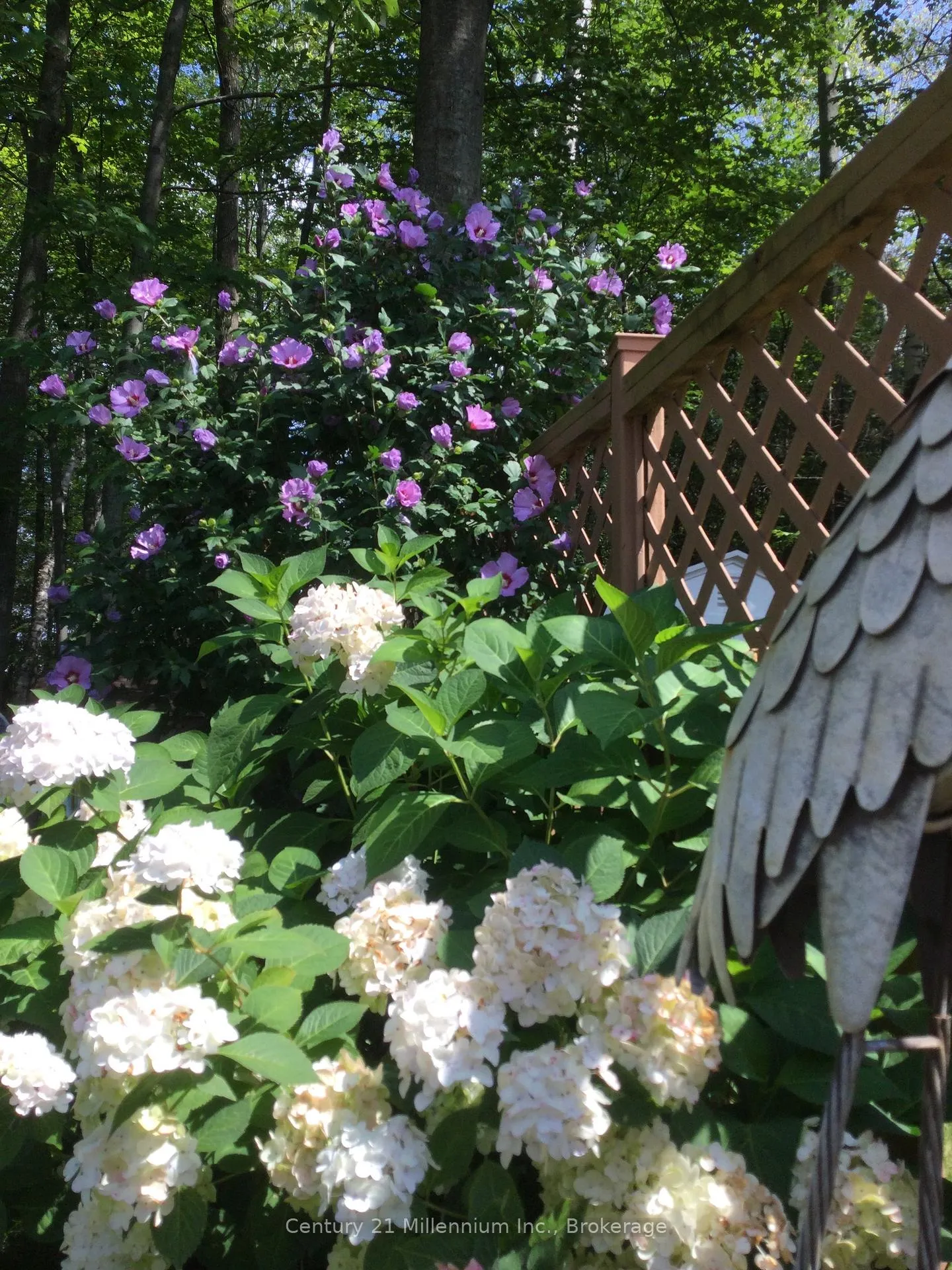 Photo 41 of 15 Brillinger Drive, Wasaga Beach — HOMEH