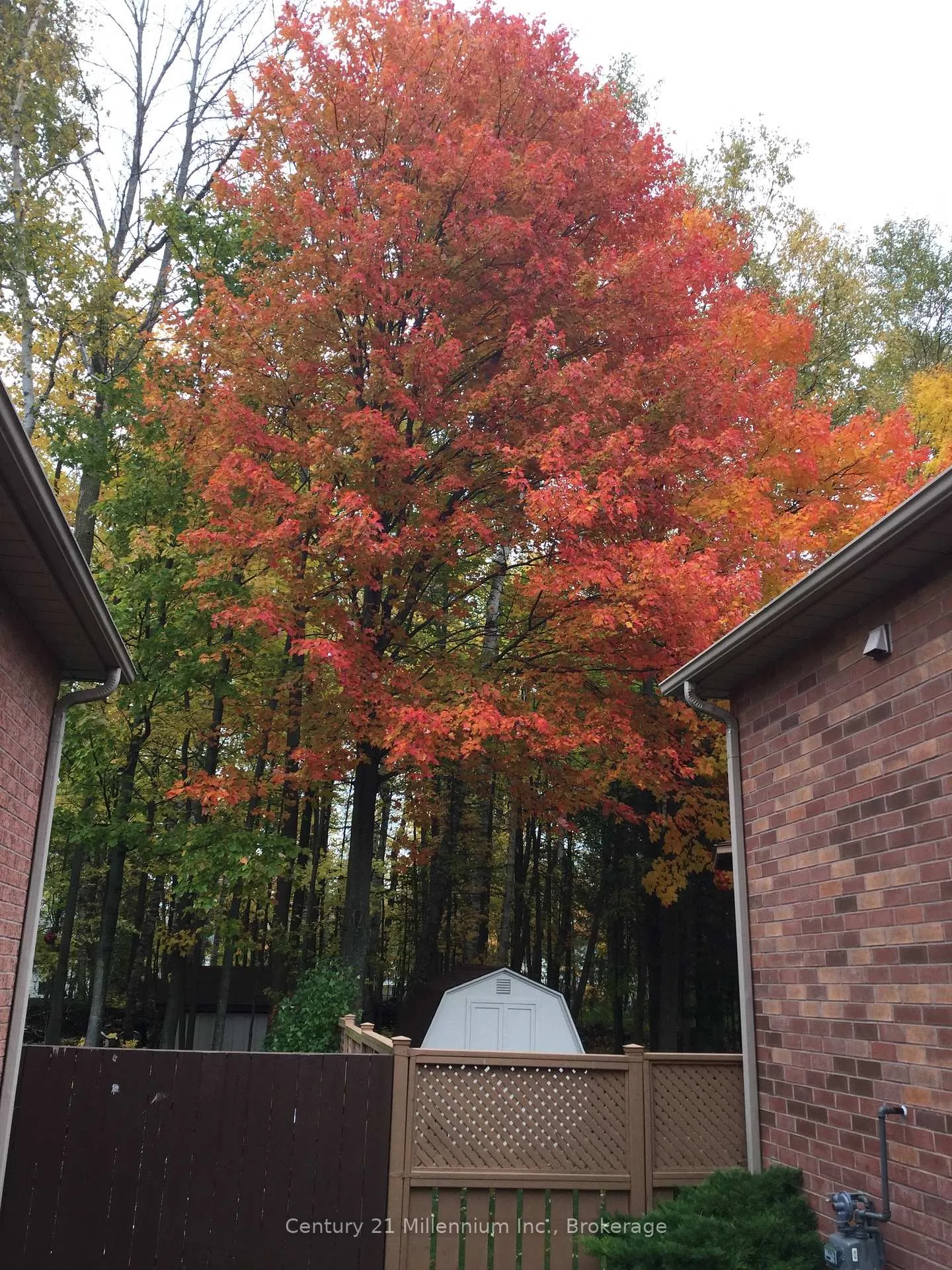 Photo 43 of 15 Brillinger Drive, Wasaga Beach — HOMEH