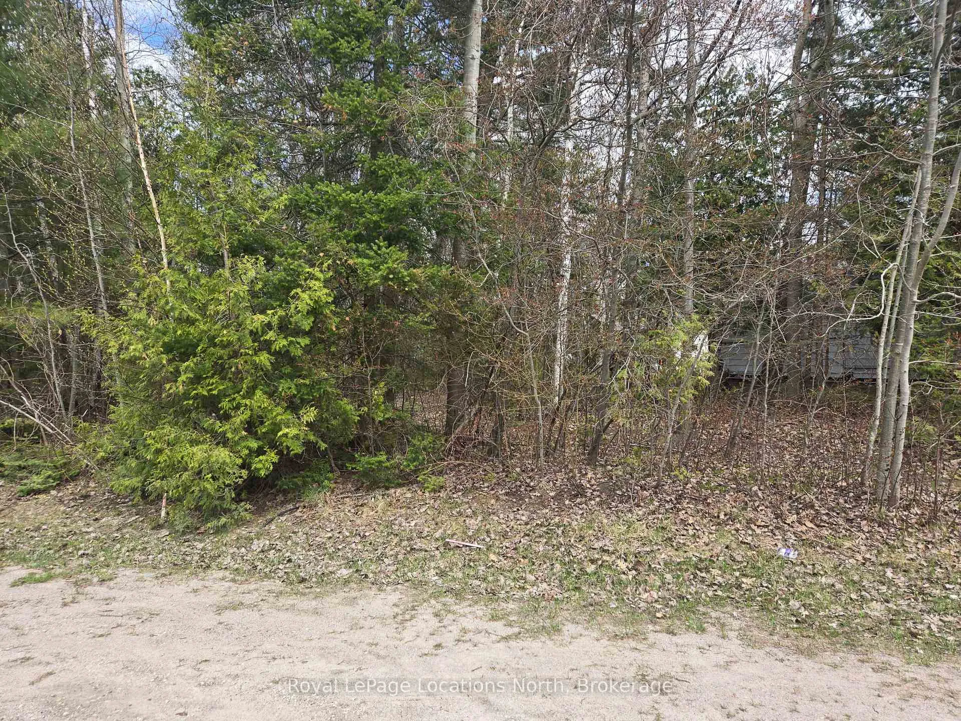 Photo 7 of 101 Sunnidale Road N, Wasaga Beach — HOMEH