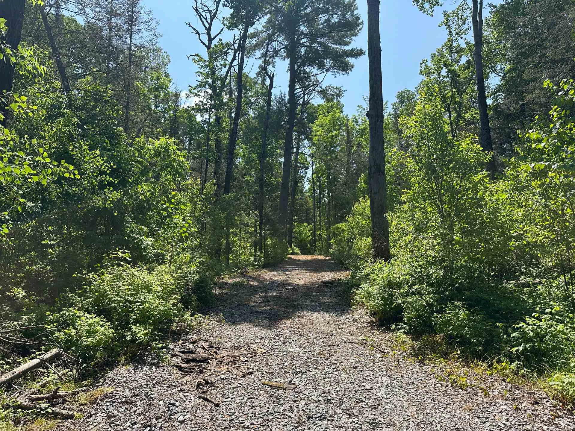 Photo 12 of 801 Highway 17 E, Bonfield — HOMEH