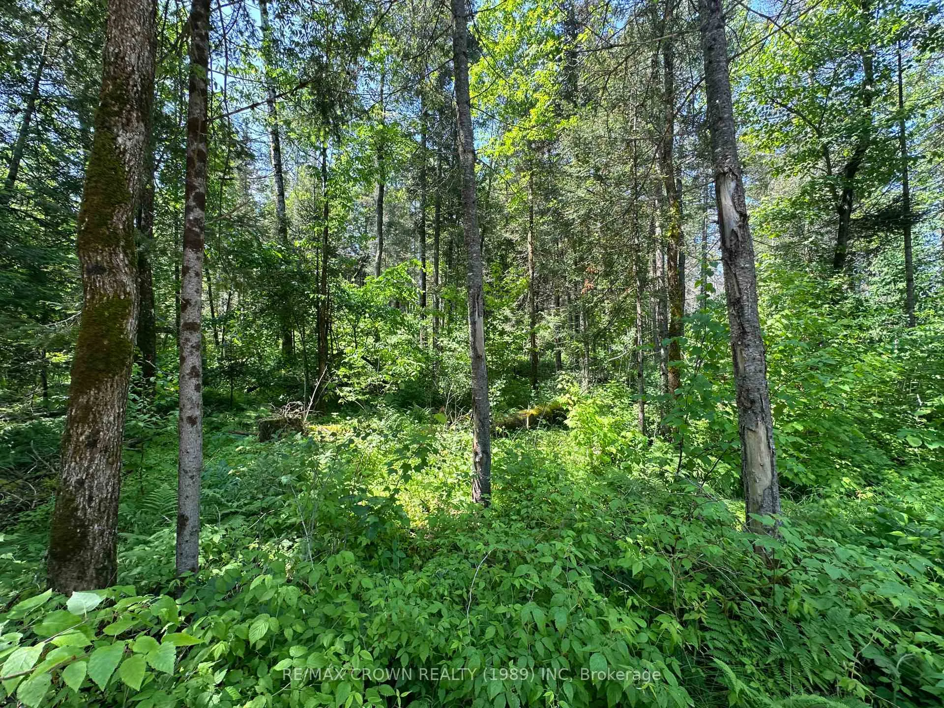 Photo 14 of 801 Highway 17 E, Bonfield — HOMEH
