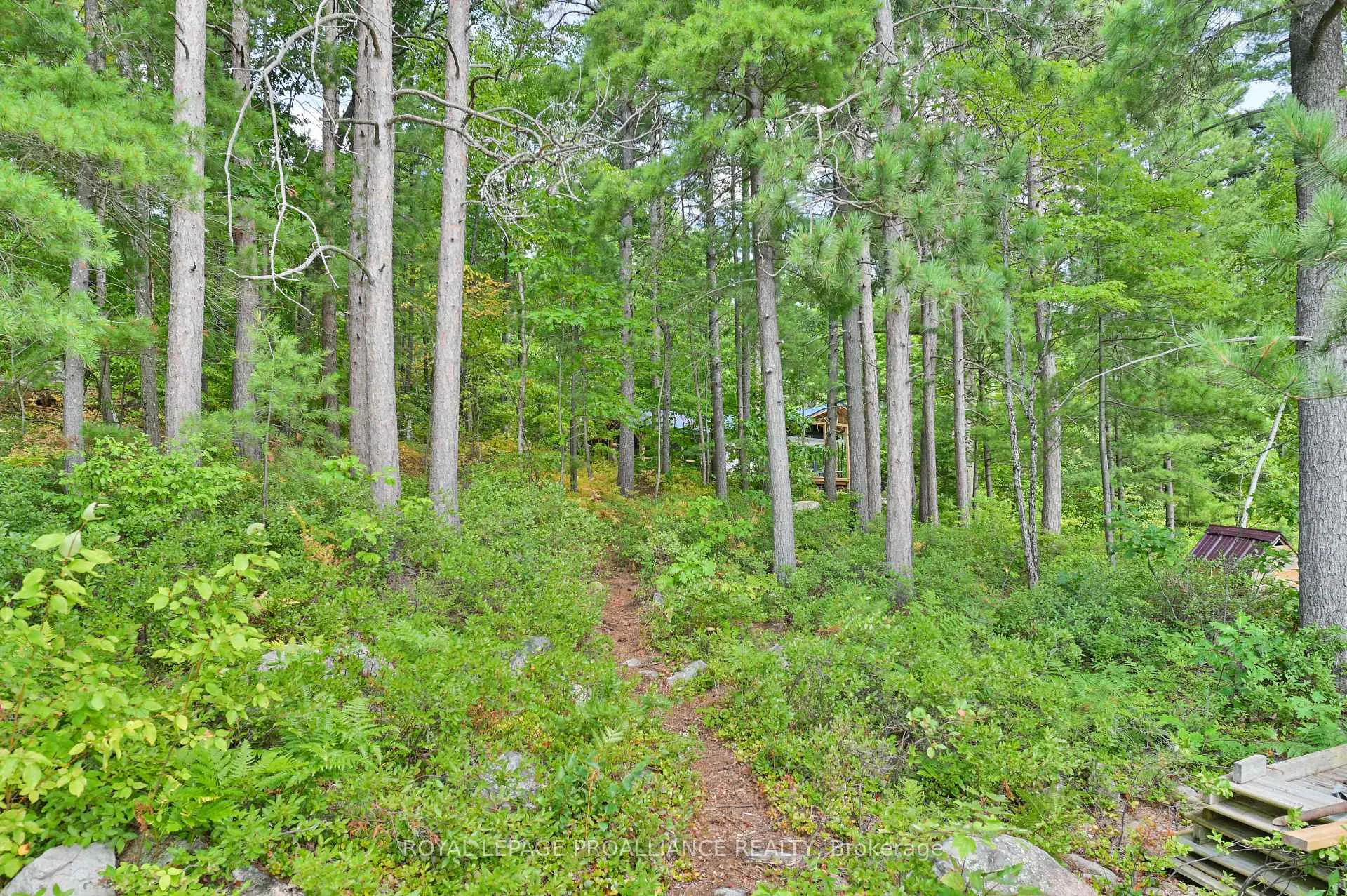 Photo 35 of 1780 Mazinaw Lake, North Frontenac, Frontenac North — HOMEH