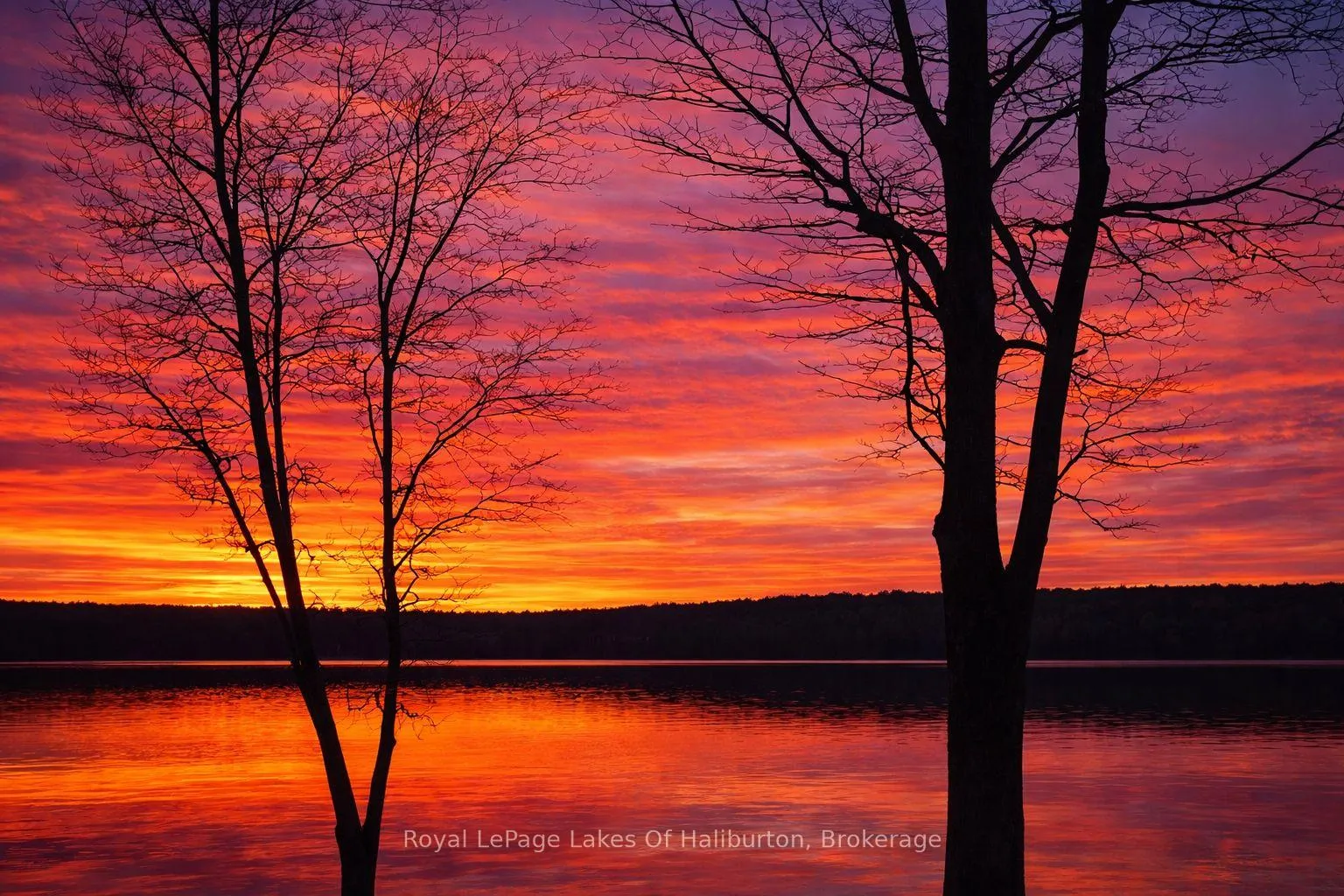 Photo 5 of 1384 North Shore Road, Algonquin Highlands, Stanhope — HOMEH