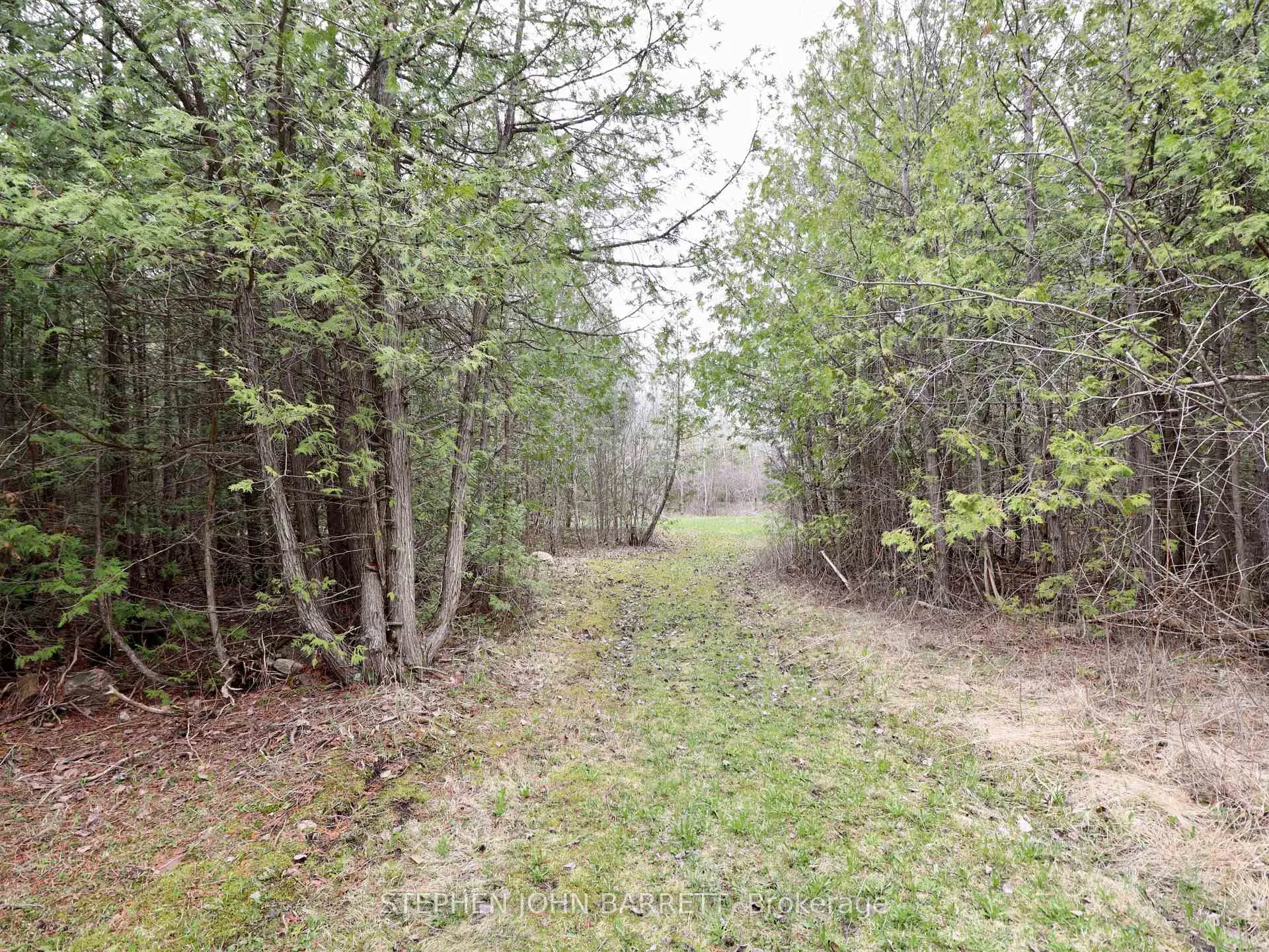 Photo 31 of 27352 48 Highway, Georgina, Virginia — HOMEH