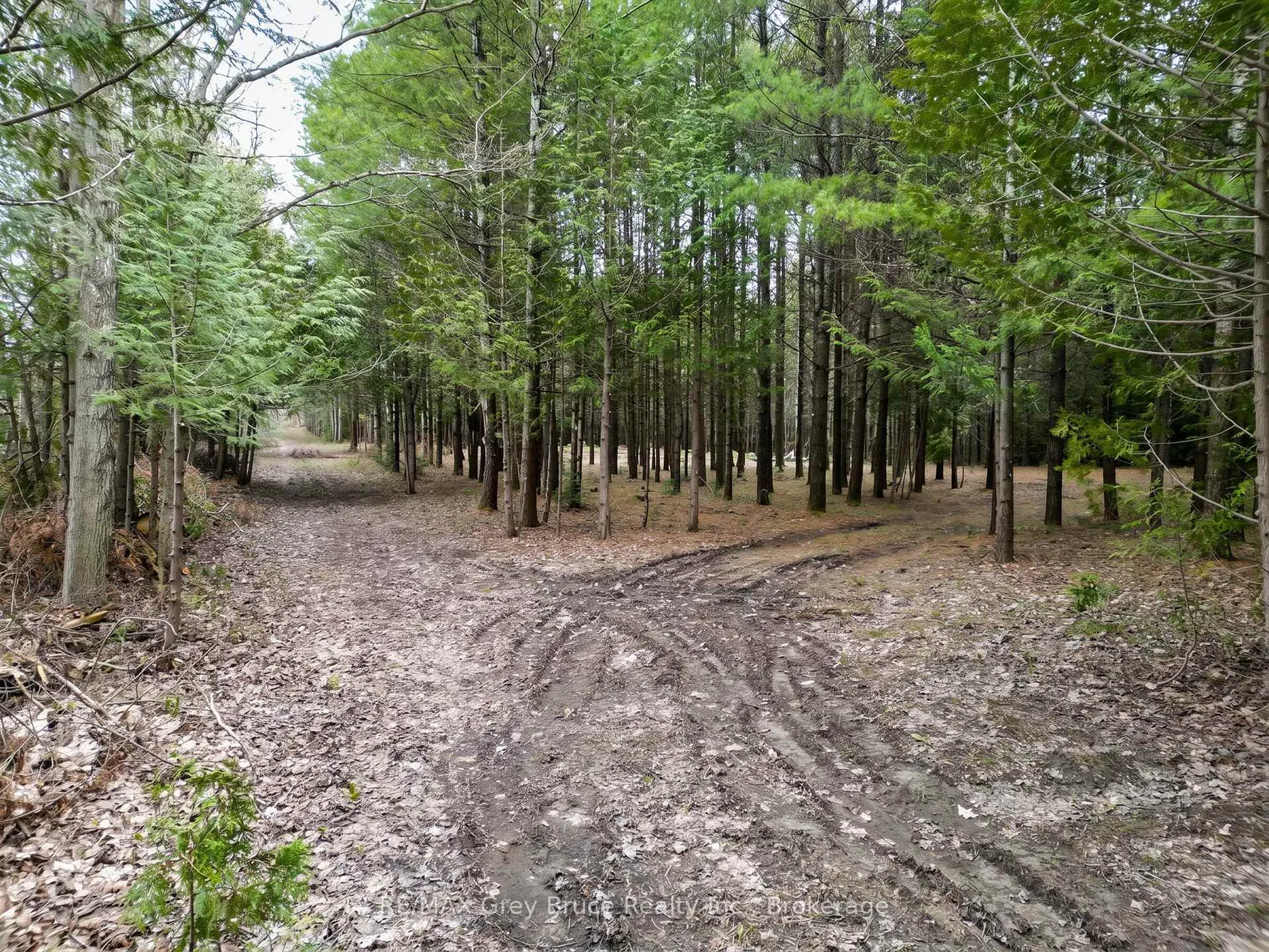 Photo 3 of 523782 Concession 12 Road, West Grey — HOMEH