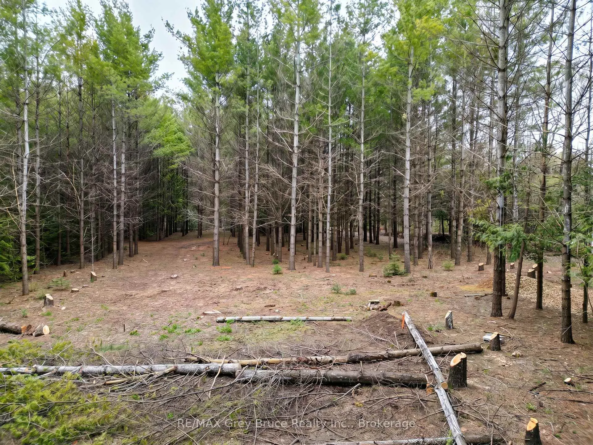 Photo 12 of 523782 Concession 12 Road, West Grey — HOMEH