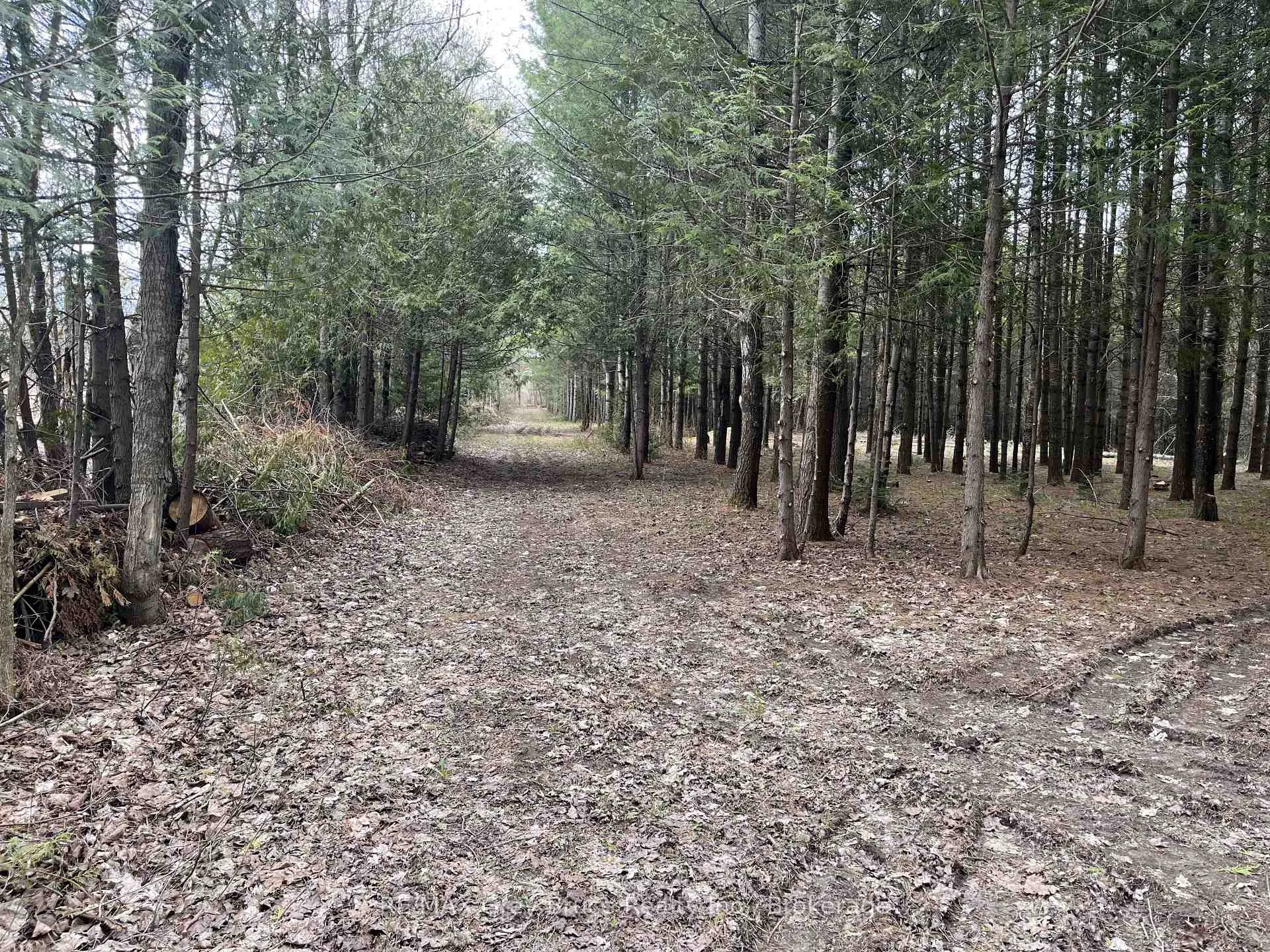 Photo 9 of 523782 Concession 12 Road, West Grey — HOMEH
