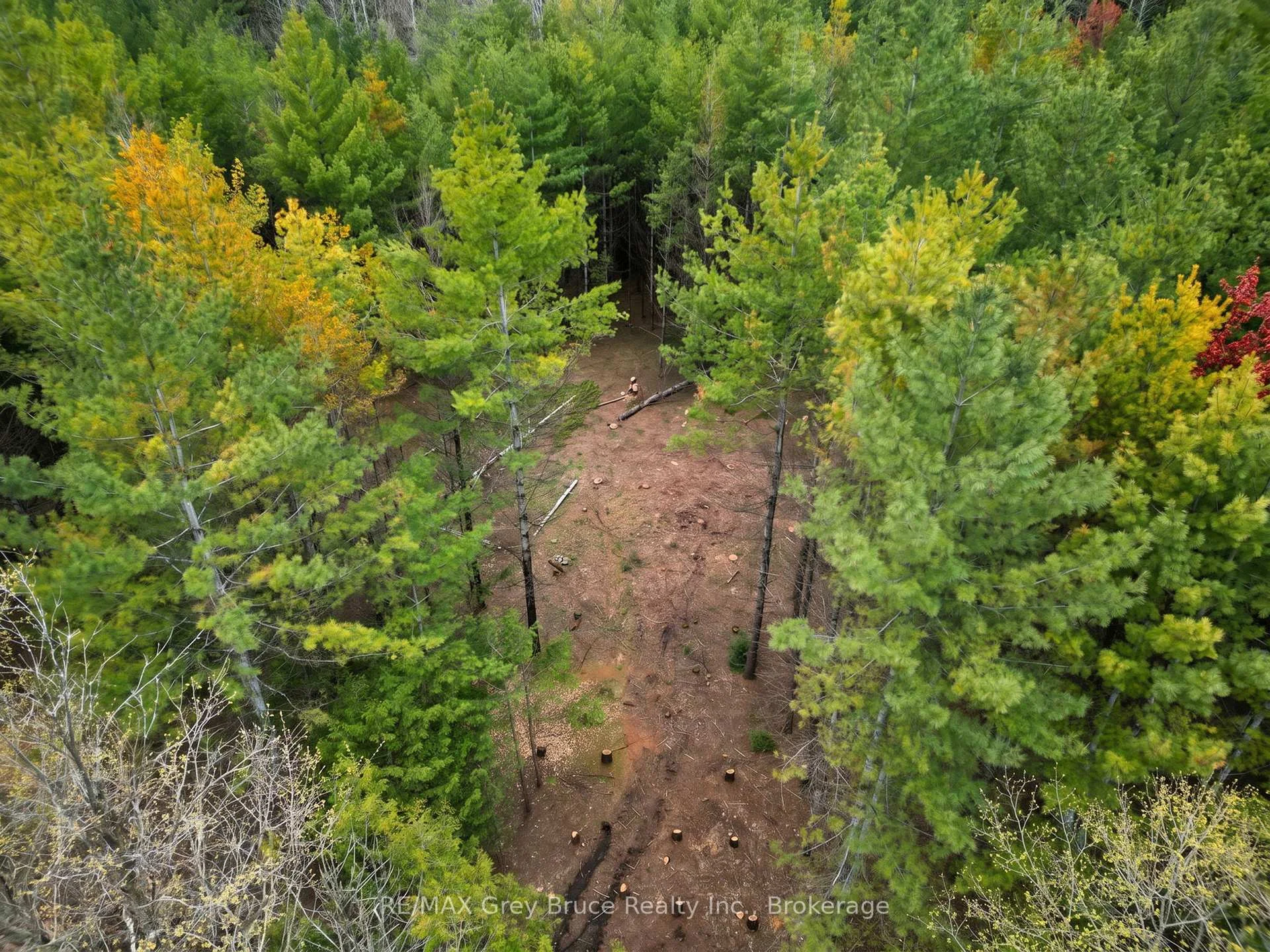 Photo 11 of 523782 Concession 12 Road, West Grey — HOMEH