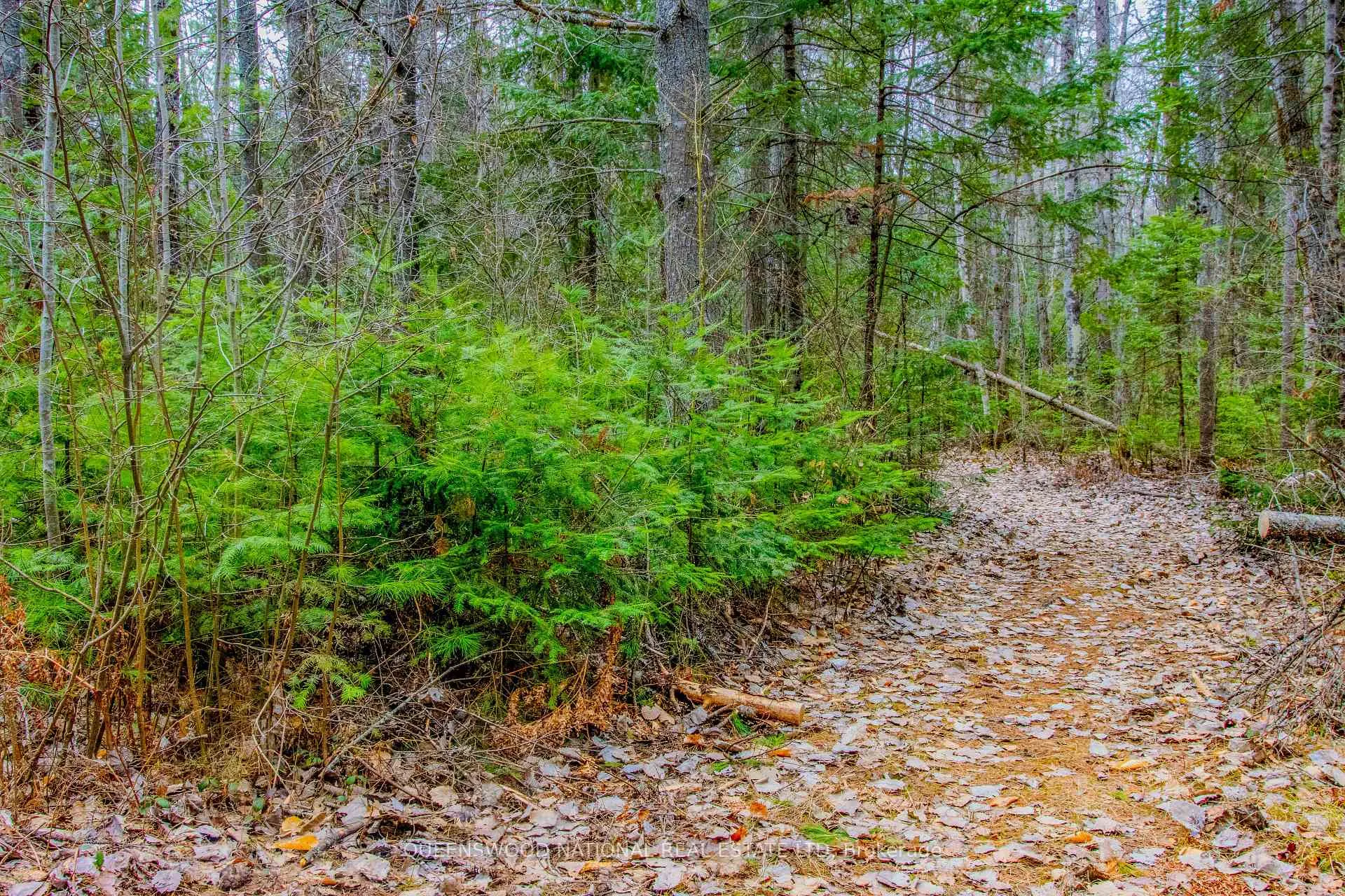 Photo 3 of Lower Craigmont Road, Madawaska Valley, Madawaska Valley — HOMEH