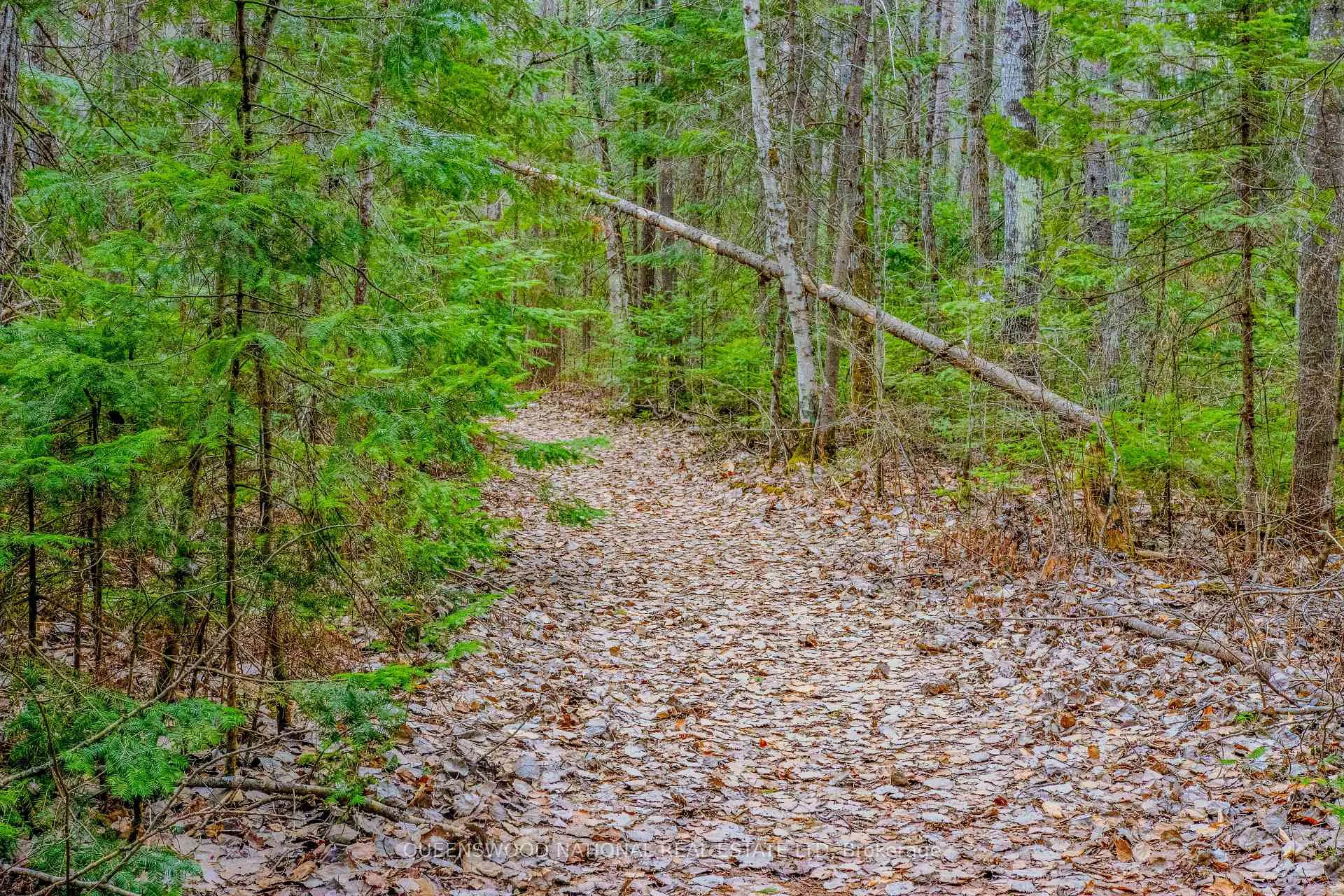 Photo 4 of Lower Craigmont Road, Madawaska Valley, Madawaska Valley — HOMEH