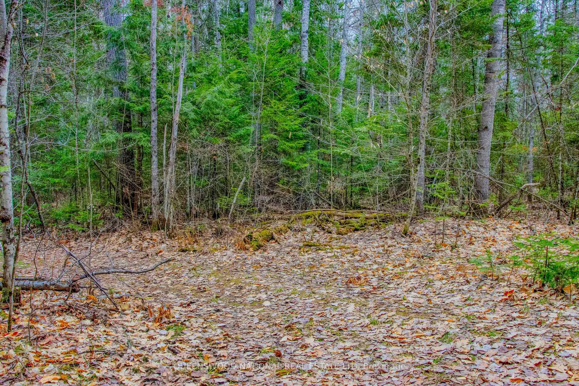 Photo 5 of Lower Craigmont Road, Madawaska Valley, Madawaska Valley — HOMEH