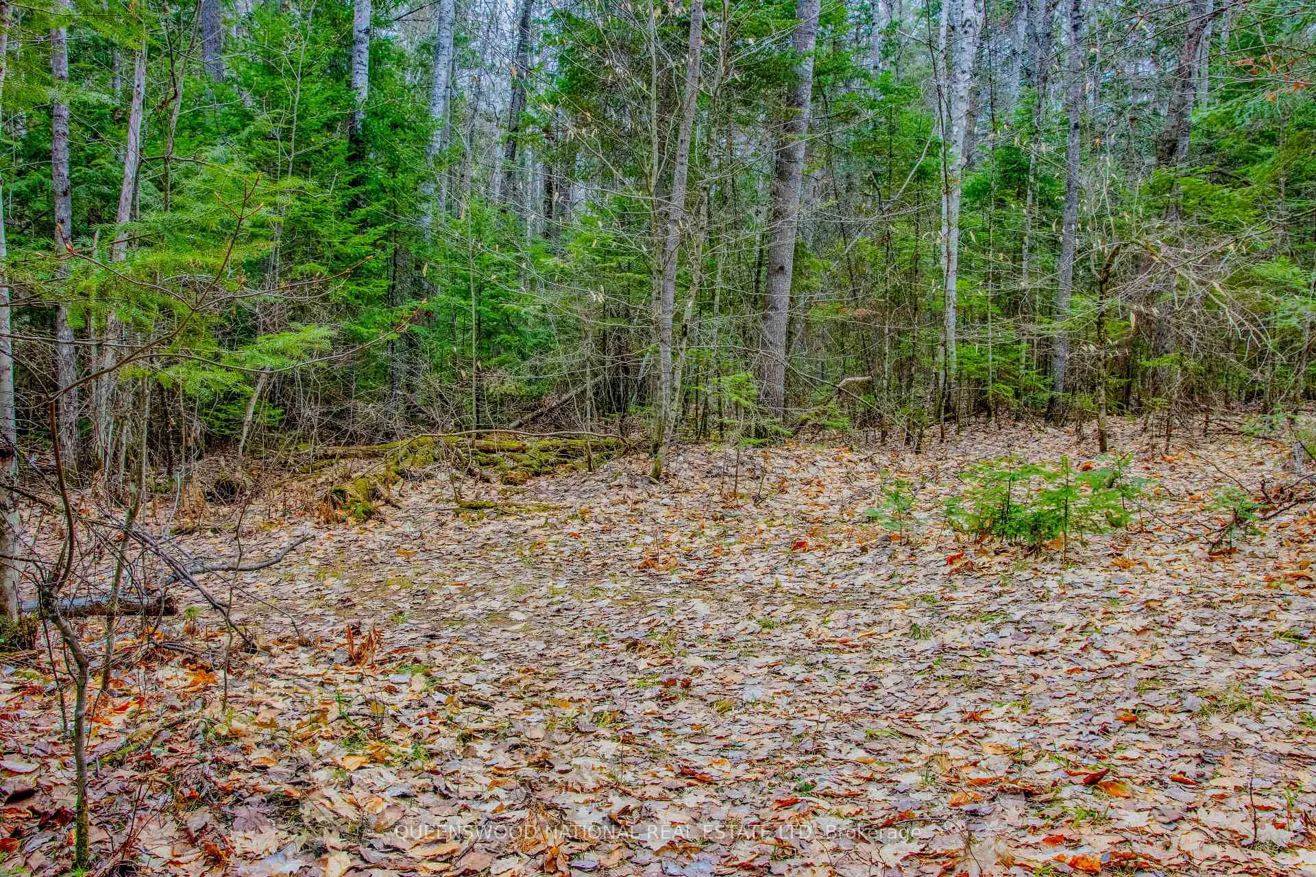 Photo 6 of Lower Craigmont Road, Madawaska Valley, Madawaska Valley — HOMEH