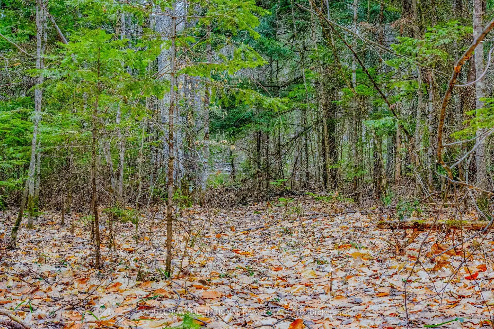 Photo 7 of Lower Craigmont Road, Madawaska Valley, Madawaska Valley — HOMEH