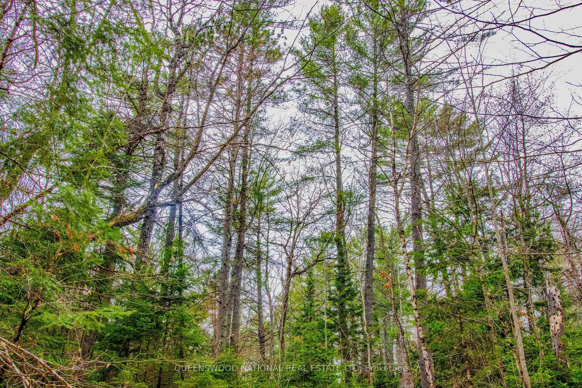 Photo 8 of Lower Craigmont Road, Madawaska Valley, Madawaska Valley — HOMEH