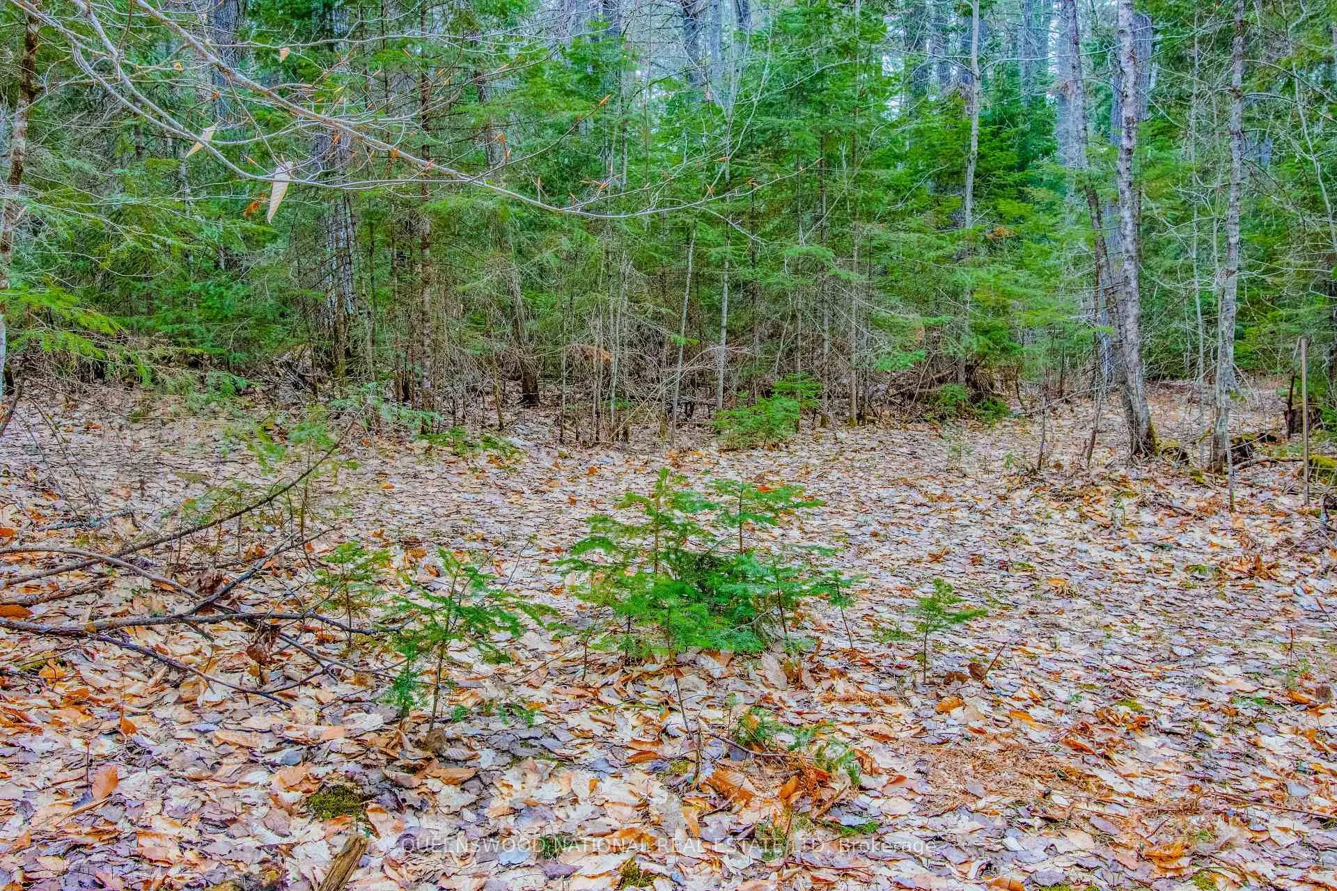 Photo 9 of Lower Craigmont Road, Madawaska Valley, Madawaska Valley — HOMEH