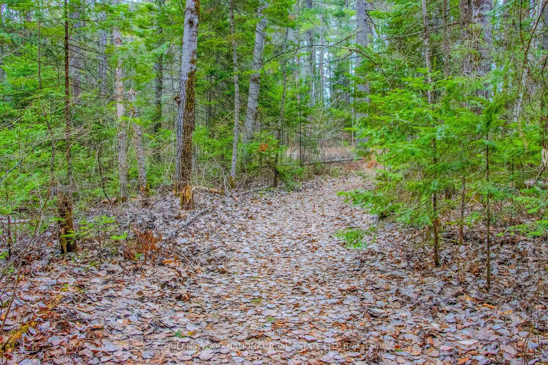 Photo 11 of Lower Craigmont Road, Madawaska Valley, Madawaska Valley — HOMEH