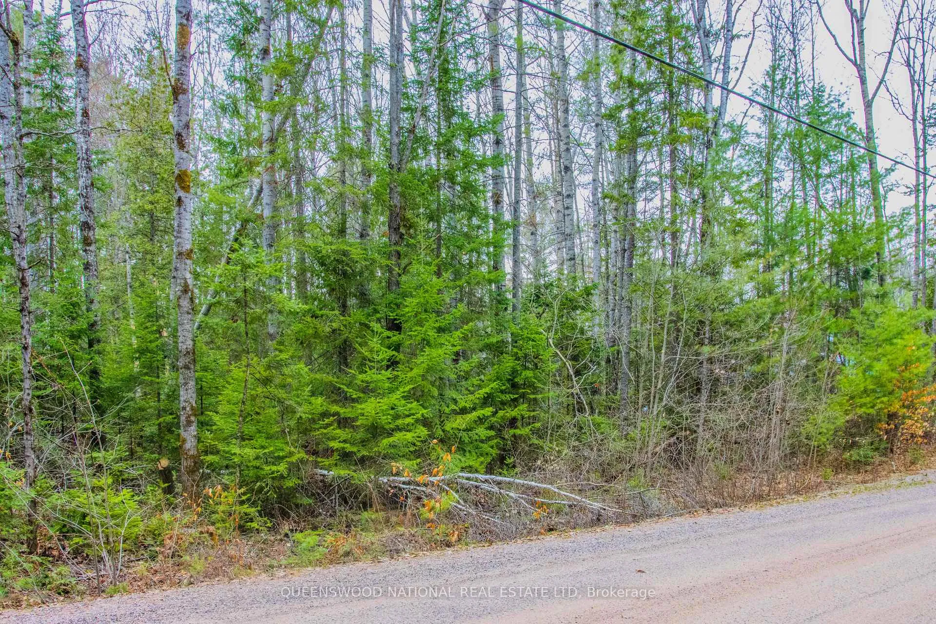 Photo 12 of Lower Craigmont Road, Madawaska Valley, Madawaska Valley — HOMEH