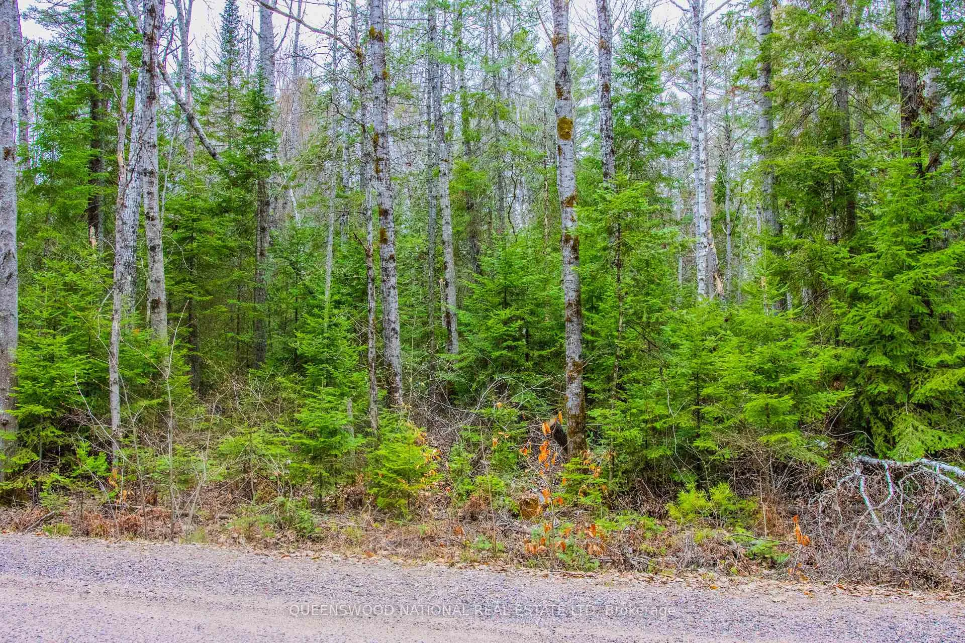 Photo 13 of Lower Craigmont Road, Madawaska Valley, Madawaska Valley — HOMEH