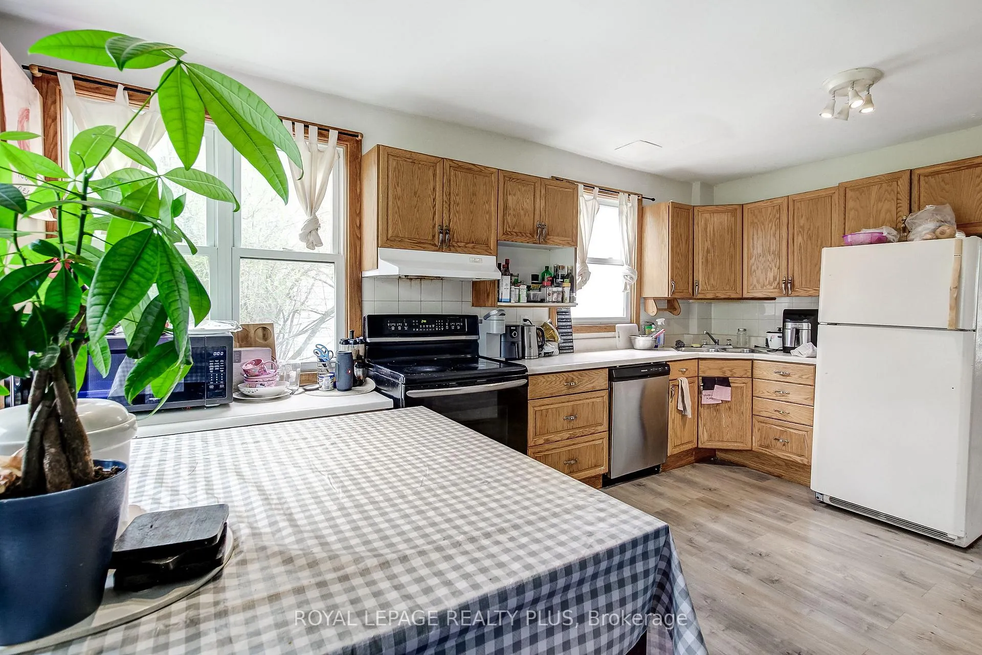 Photo 9 of 105 Hillview Street, Hamilton, Ainslie Wood — HOMEH