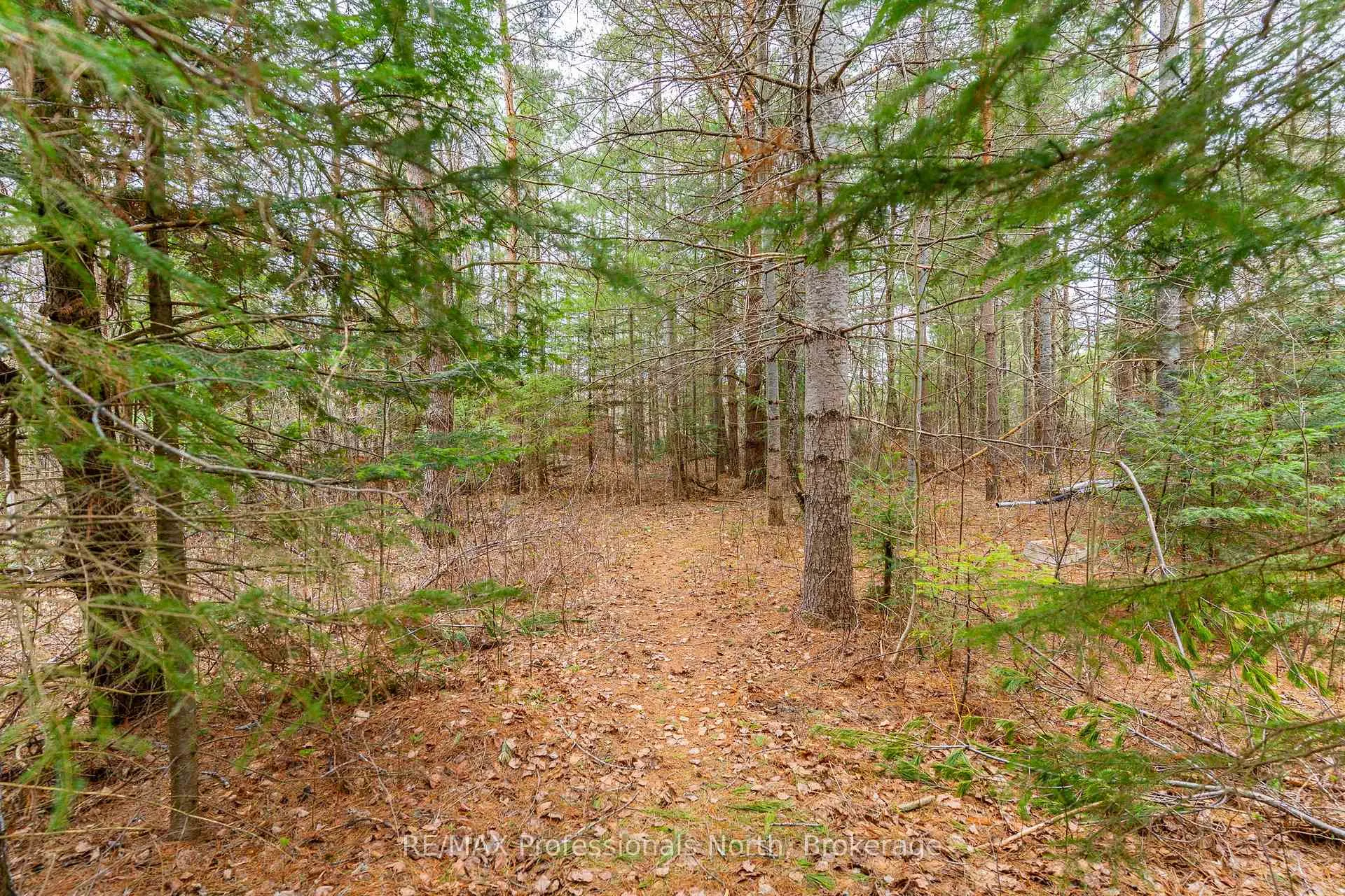 Photo of 2195 Loop Road