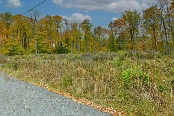 Photo 5 of 83 Shady Maple Road, McNab/Braeside, Mcnab/Braeside Twps — HOMEH