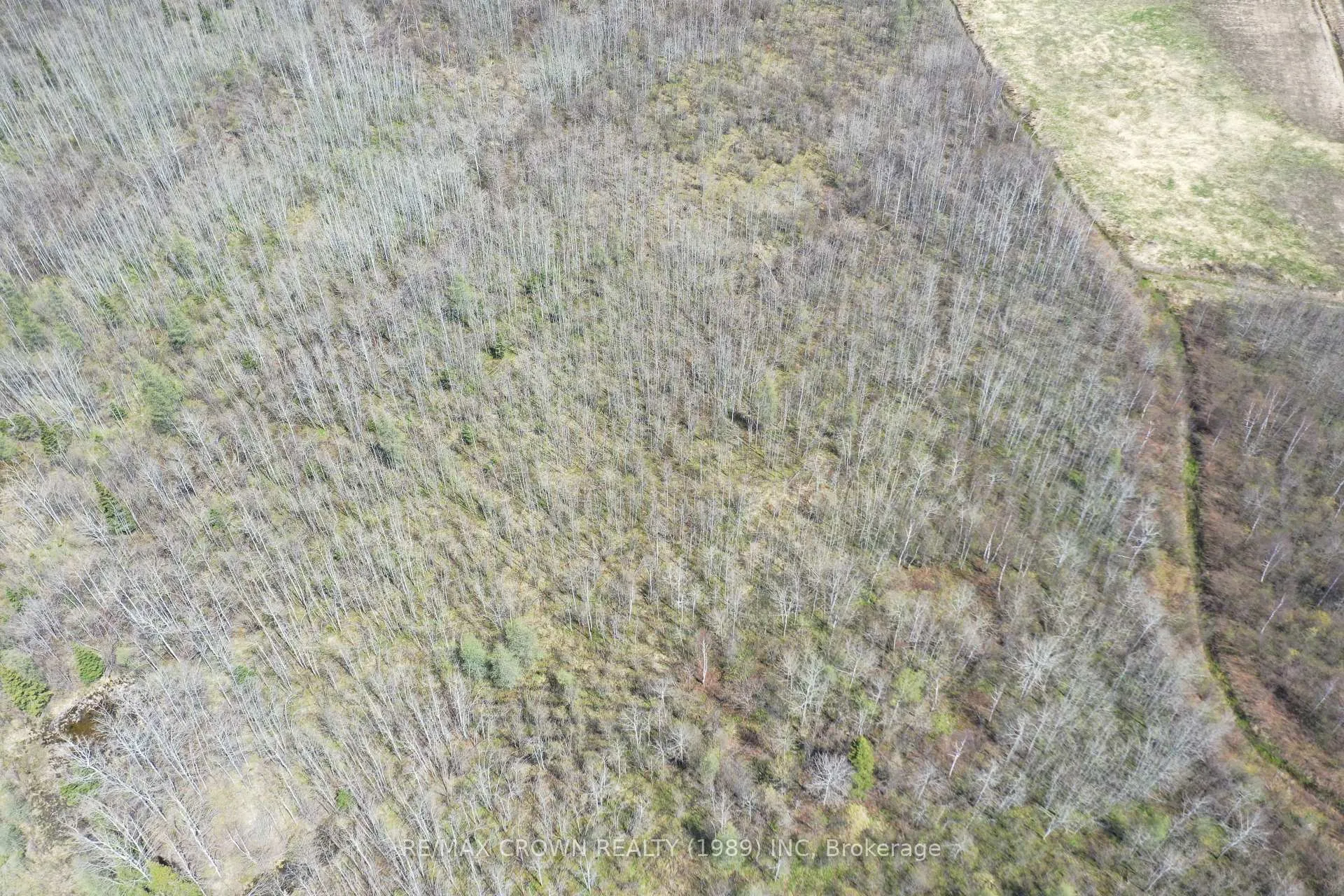 Photo 15 of 69 Clear Lake Road N, Kapuskasing — HOMEH