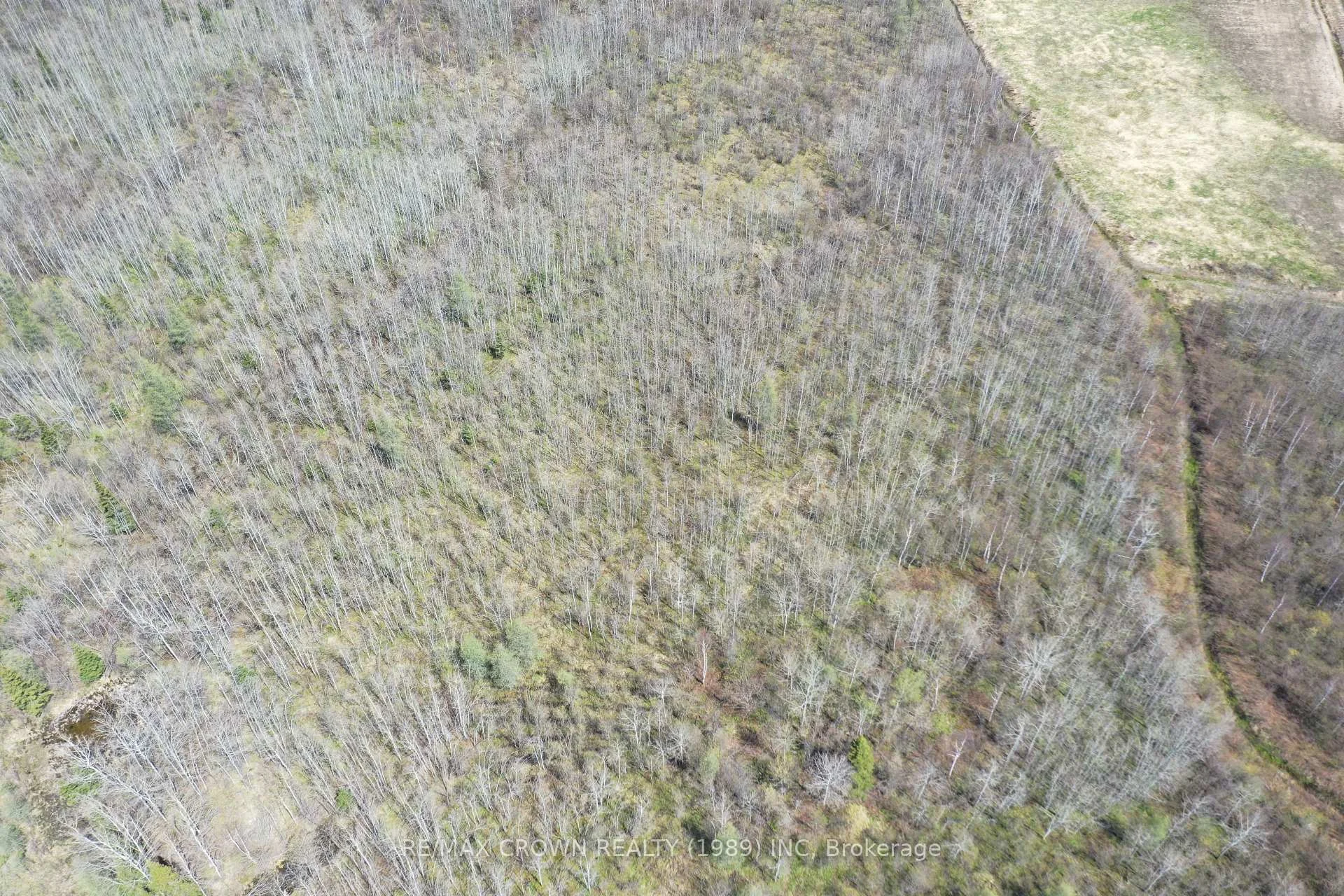 Photo 80 of 73 Clear Lake Road N, Kapuskasing — HOMEH