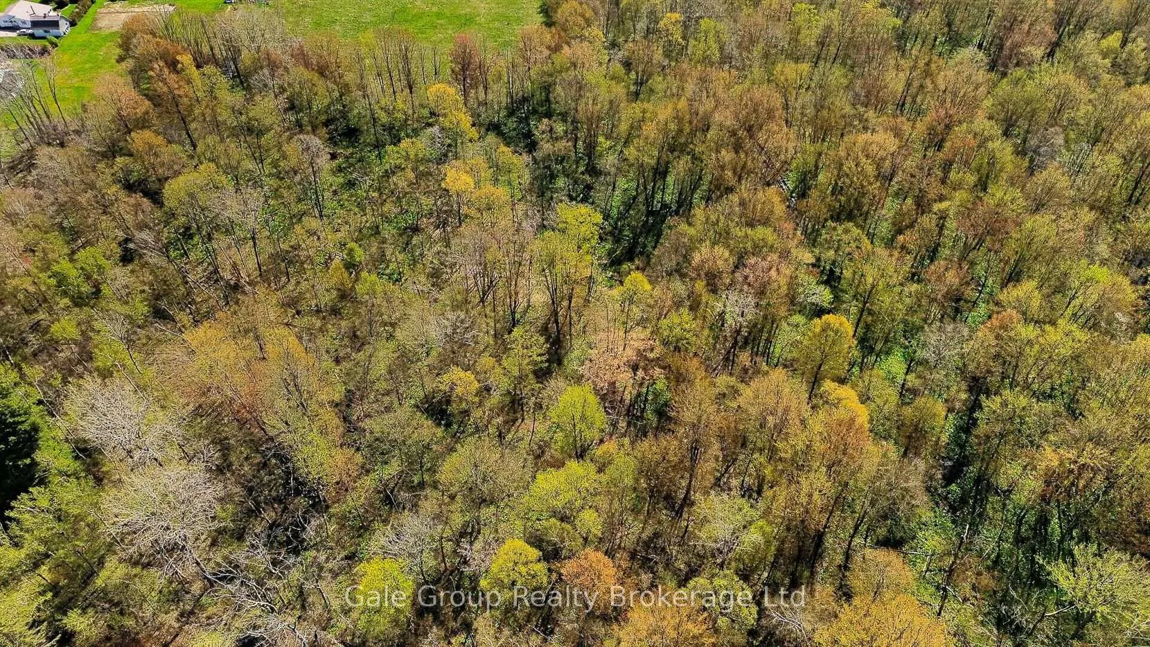 Photo 50 of 45227 Dexter Line, Central Elgin, Rural Central Elgin — HOMEH