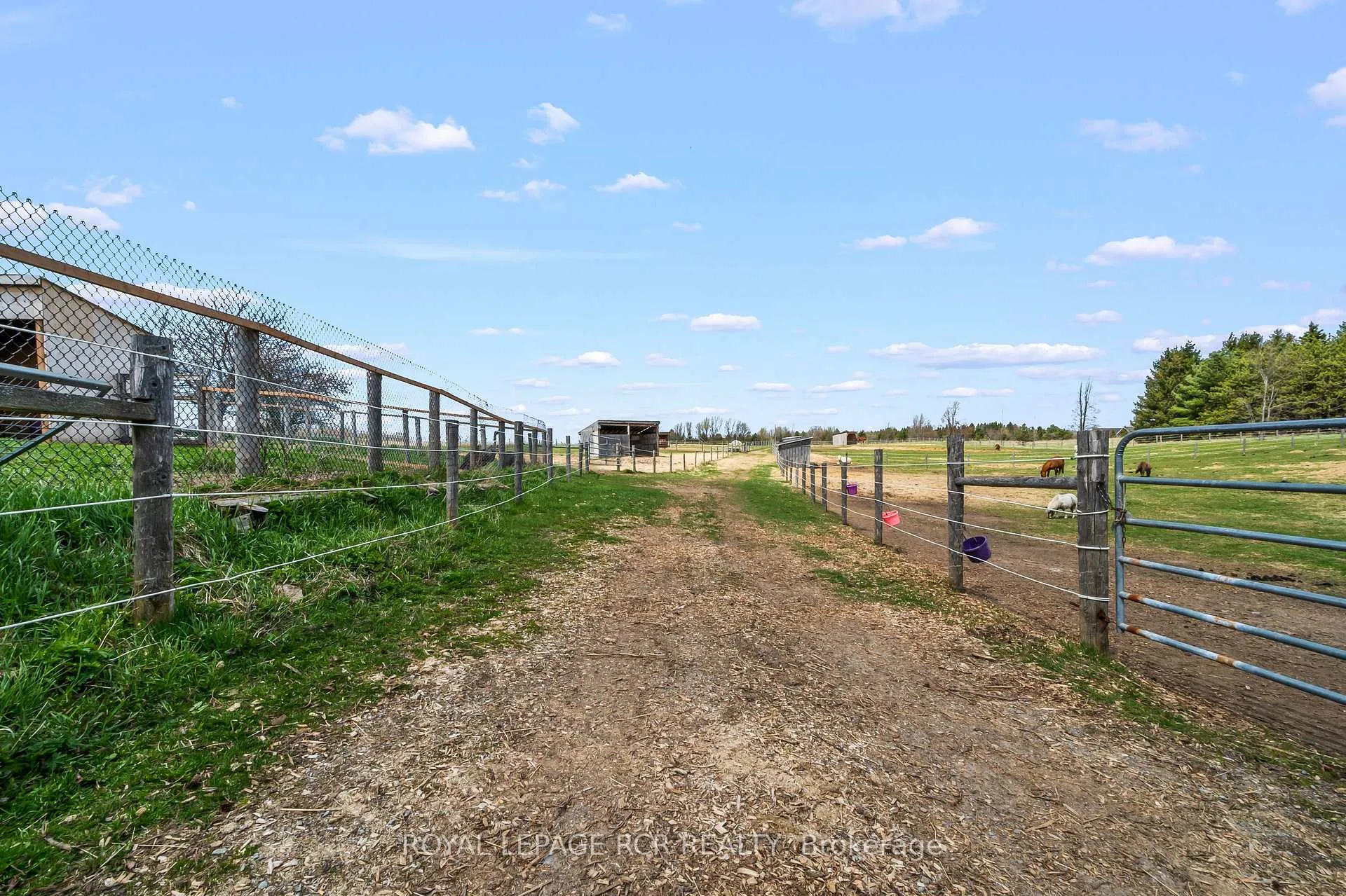 Photo 12 of 487233 30 Side Road, Mono, Rural Mono — HOMEH