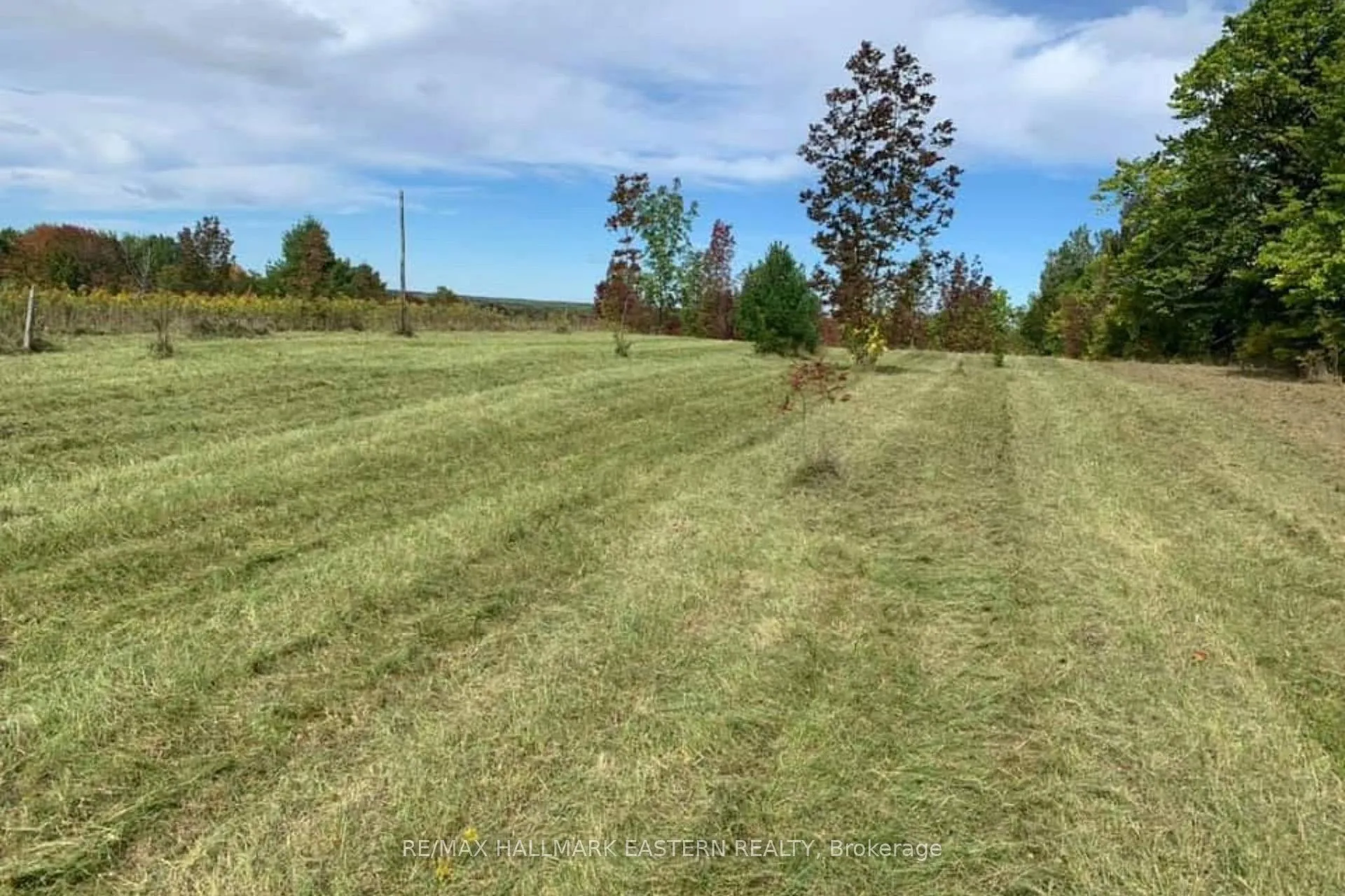 Photo 5 of 1737 Thirteenth Line, Selwyn — HOMEH