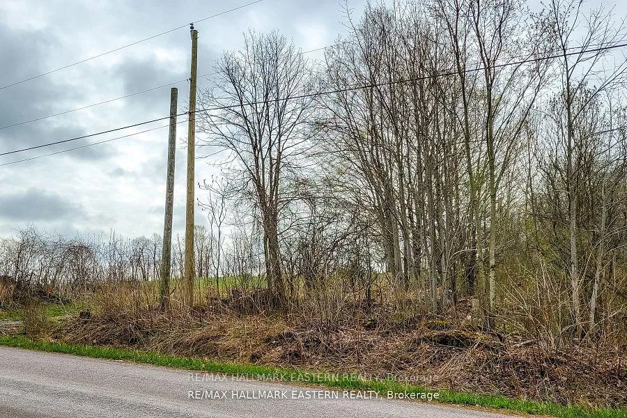 Photo 7 of 1737 Thirteenth Line, Selwyn — HOMEH