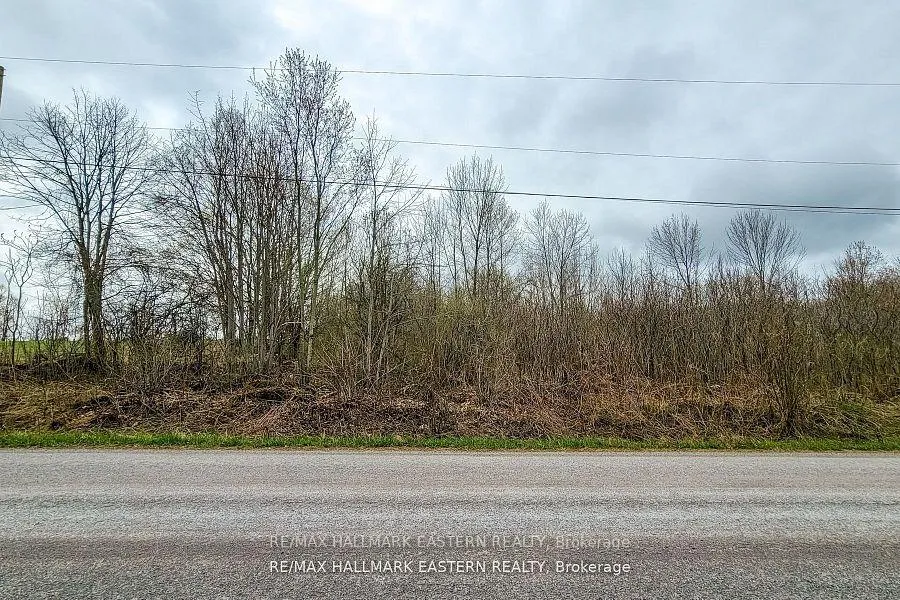 Photo 8 of 1737 Thirteenth Line, Selwyn — HOMEH