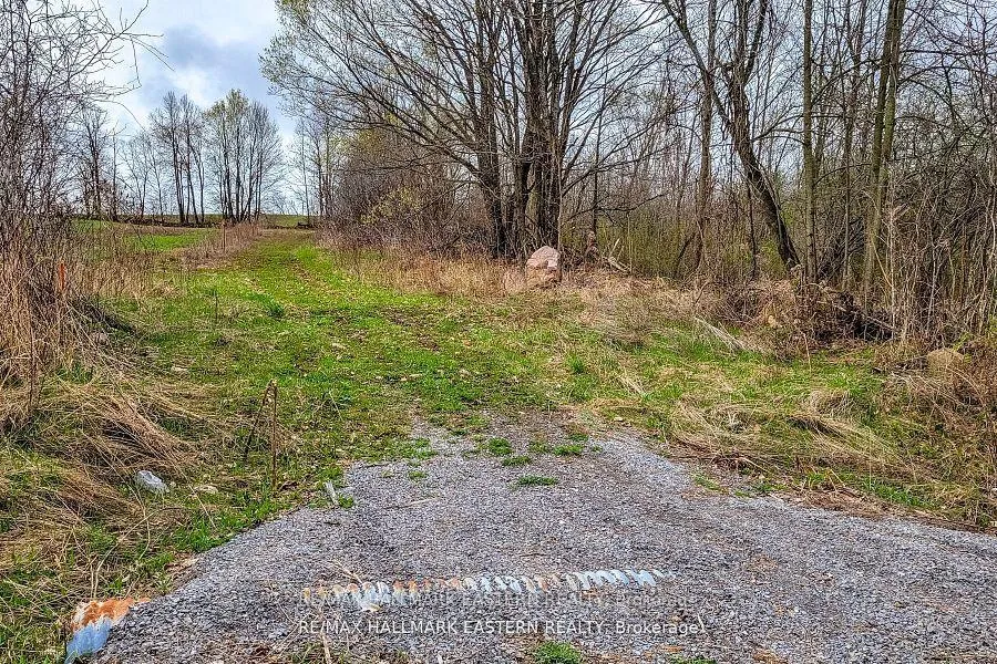 Photo 9 of 1737 Thirteenth Line, Selwyn — HOMEH