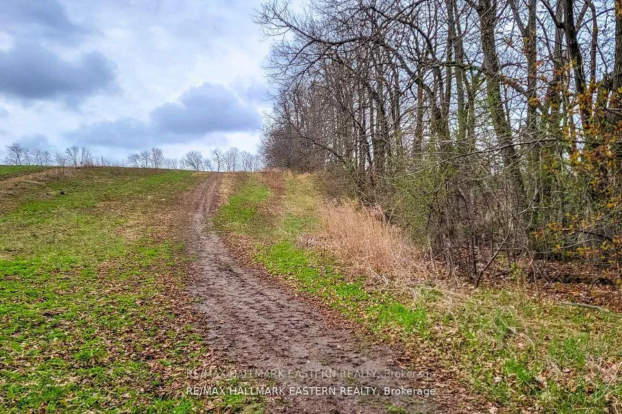 Photo 10 of 1737 Thirteenth Line, Selwyn — HOMEH