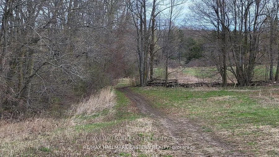 Photo 11 of 1737 Thirteenth Line, Selwyn — HOMEH