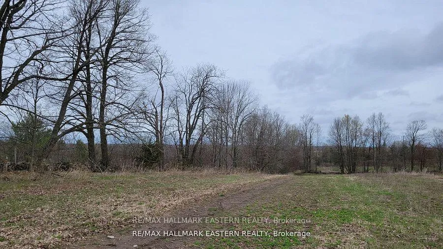 Photo 14 of 1737 Thirteenth Line, Selwyn — HOMEH