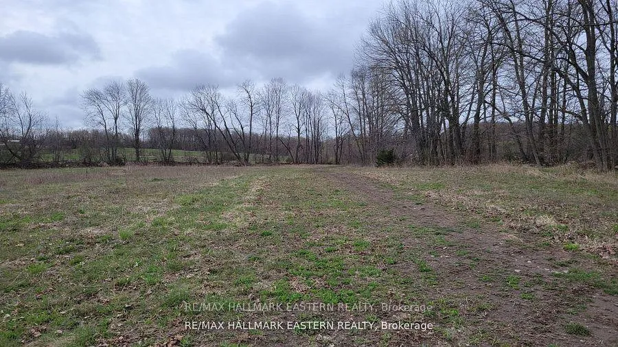 Photo 15 of 1737 Thirteenth Line, Selwyn — HOMEH